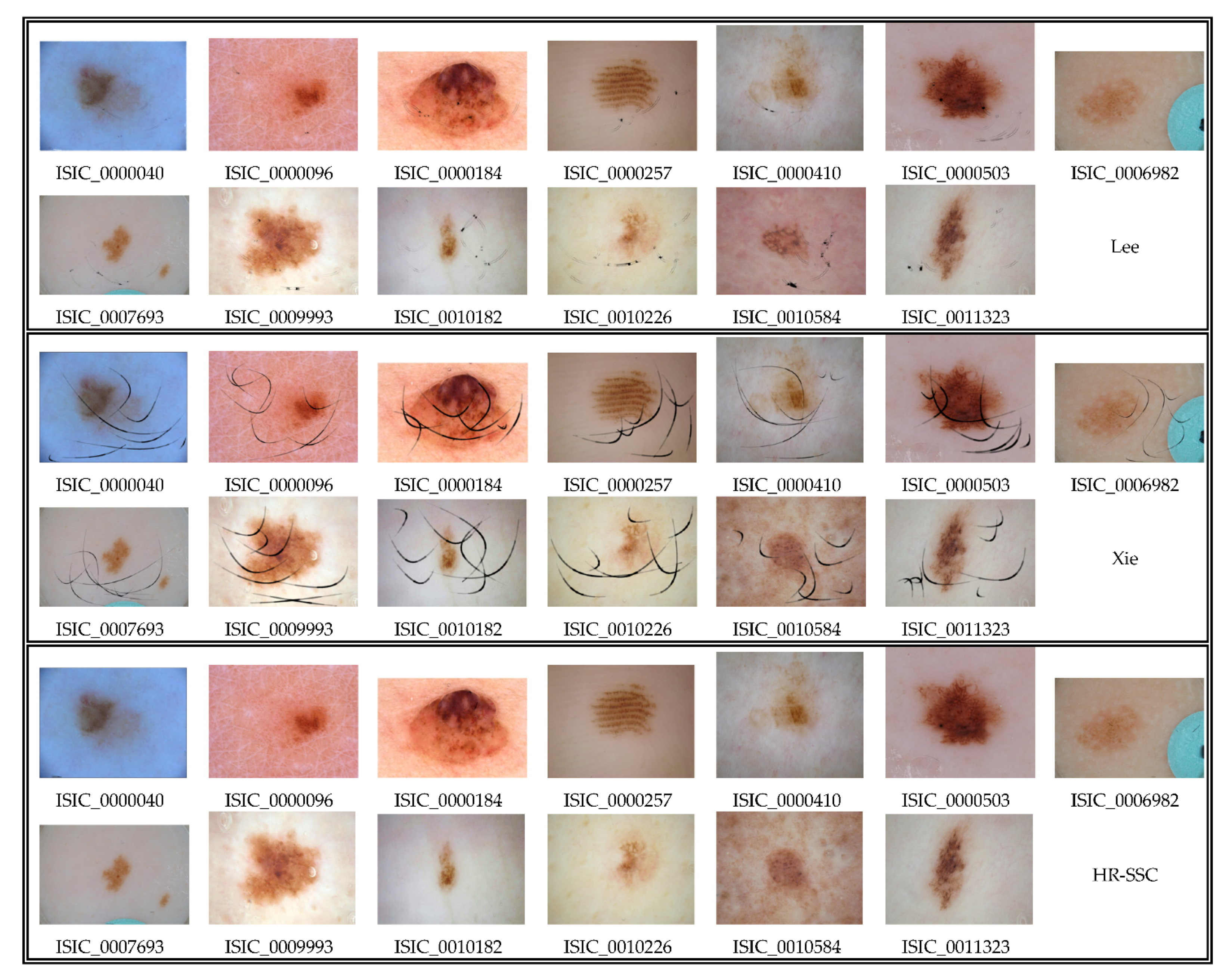 Applsci 11 00447 g012 Applsci 11 00447 g012