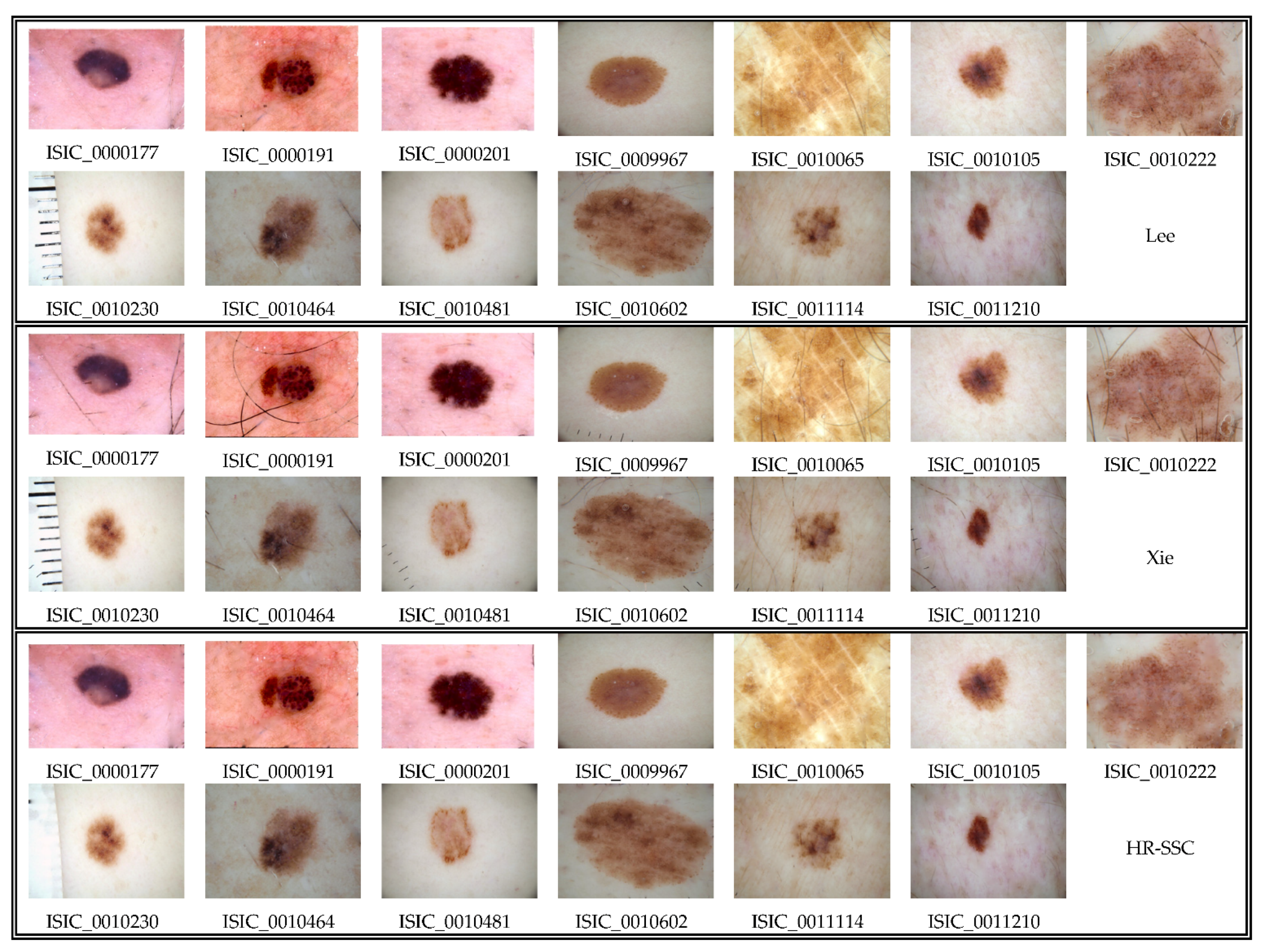 Applsci 11 00447 g014 Applsci 11 00447 g014