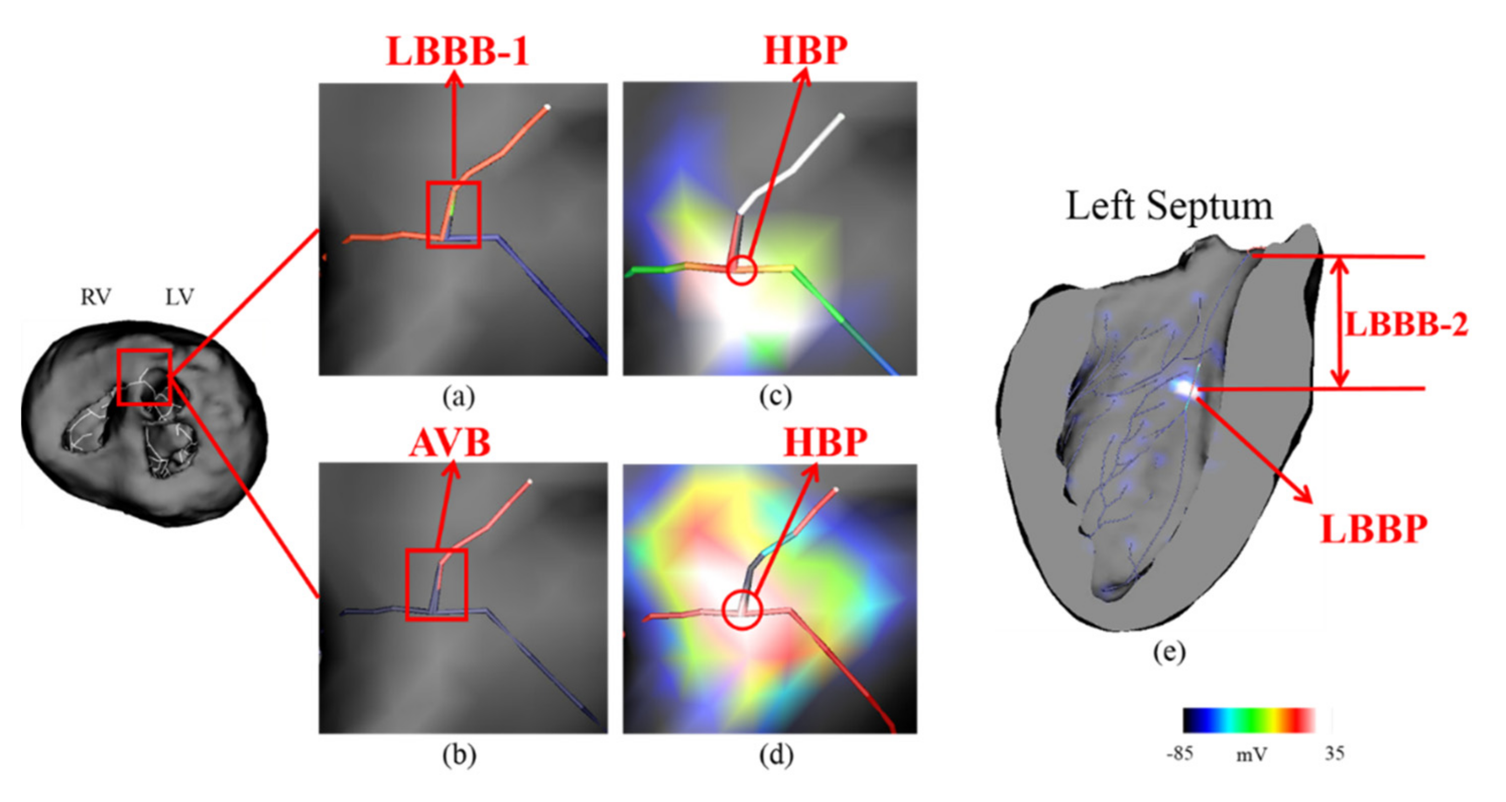 Applsci 11 00449 g002