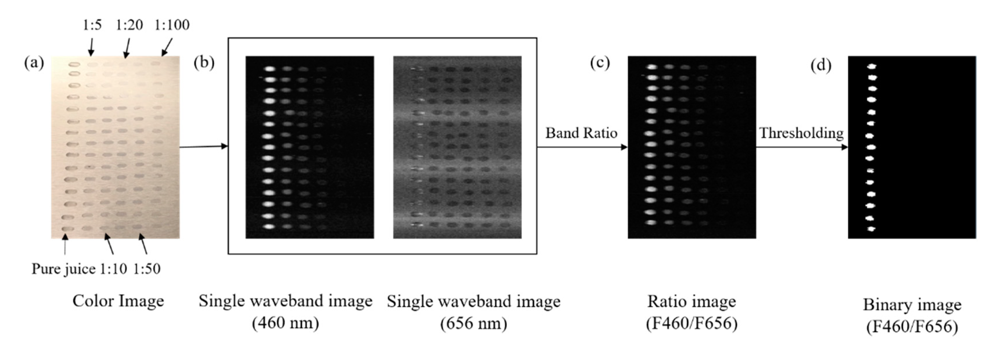 Applsci 11 00458 g006 Applsci 11 00458 g006
