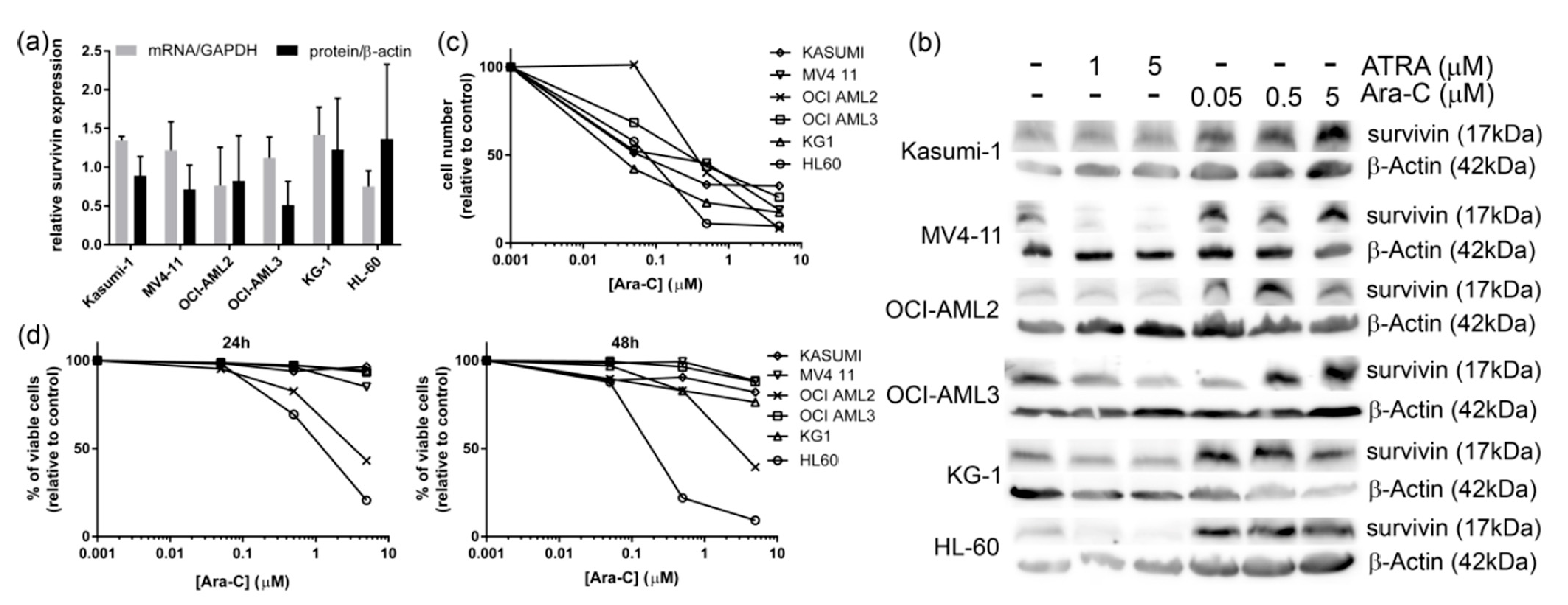 Applsci 11 00460 g001