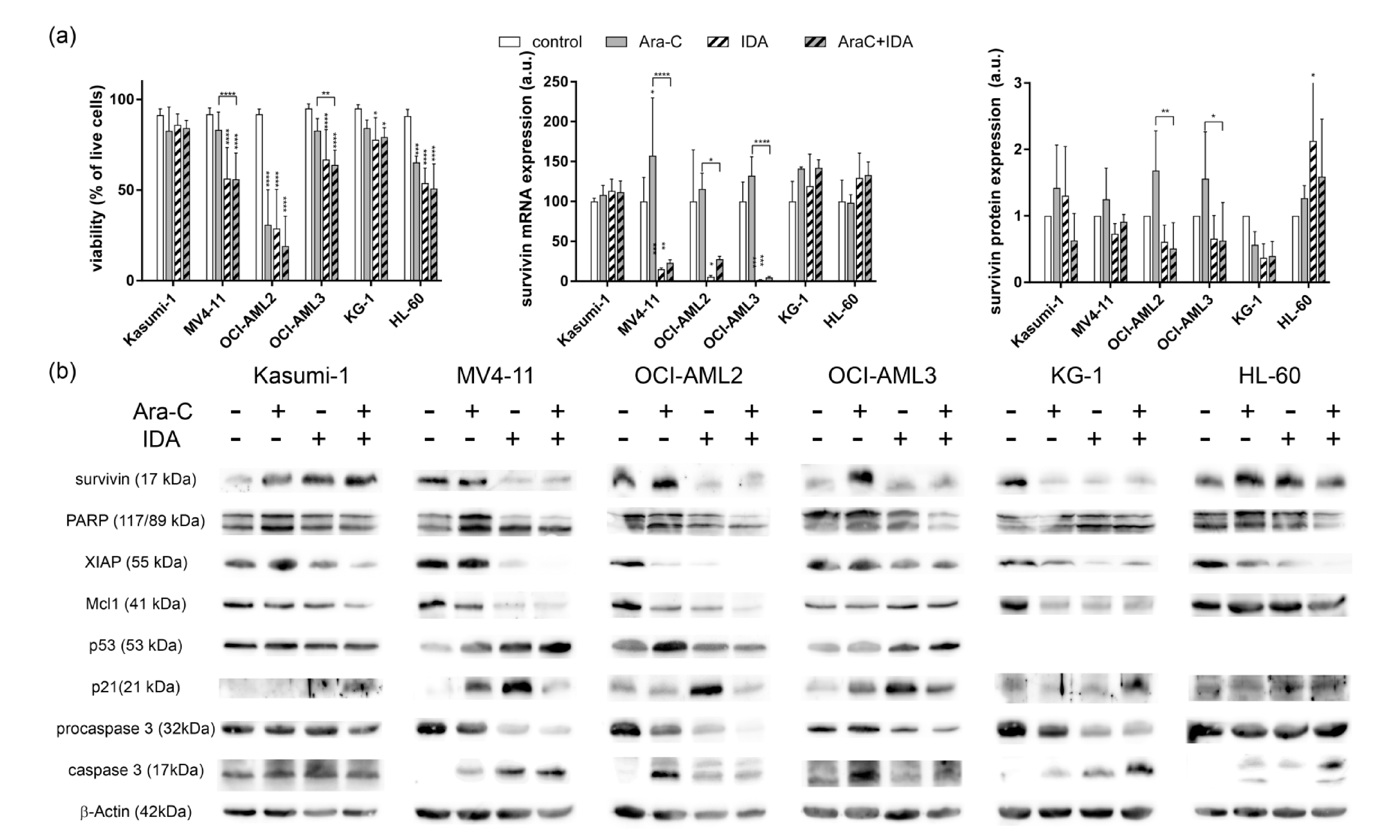 Applsci 11 00460 g003