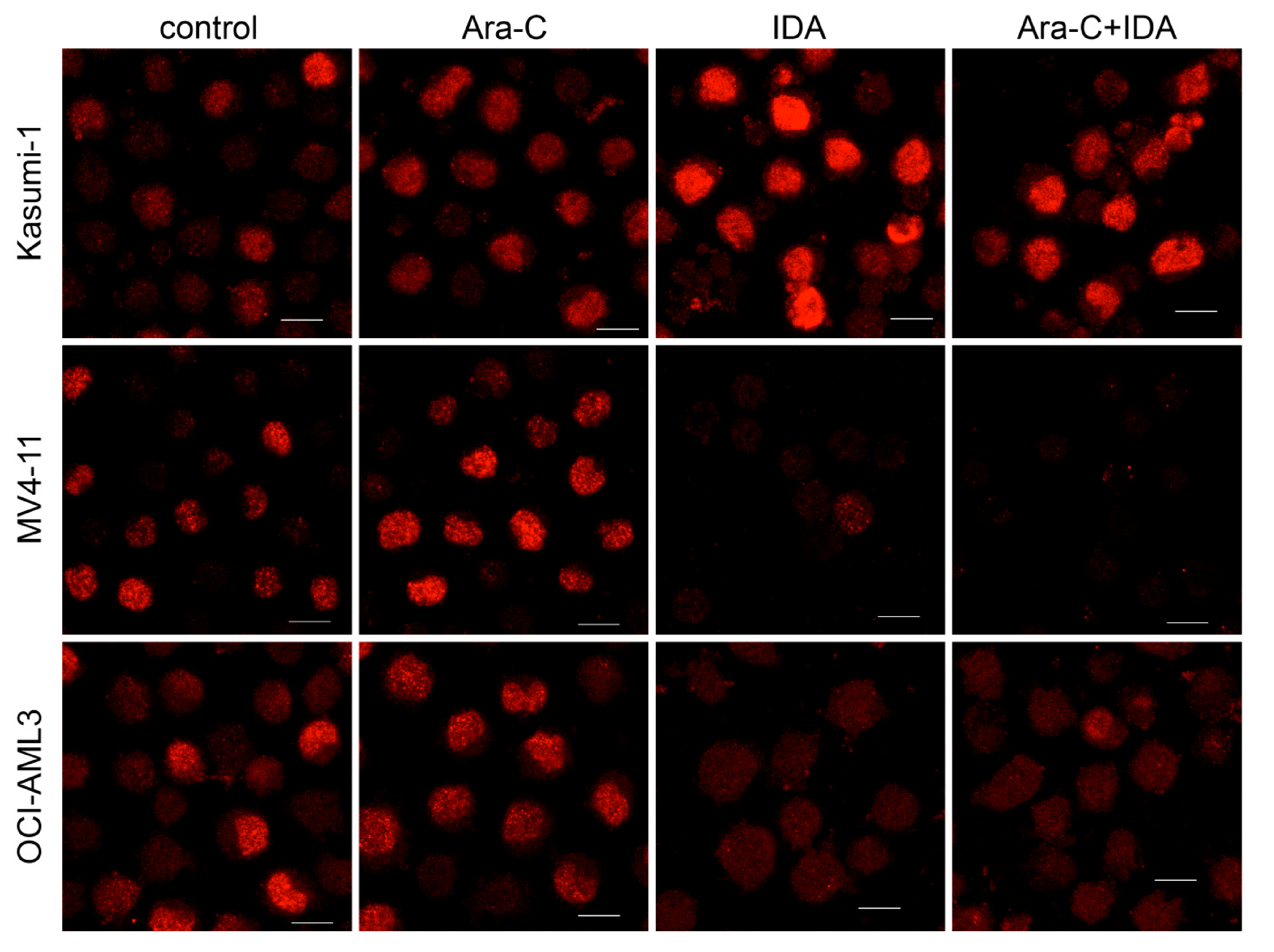 Applsci 11 00460 g004