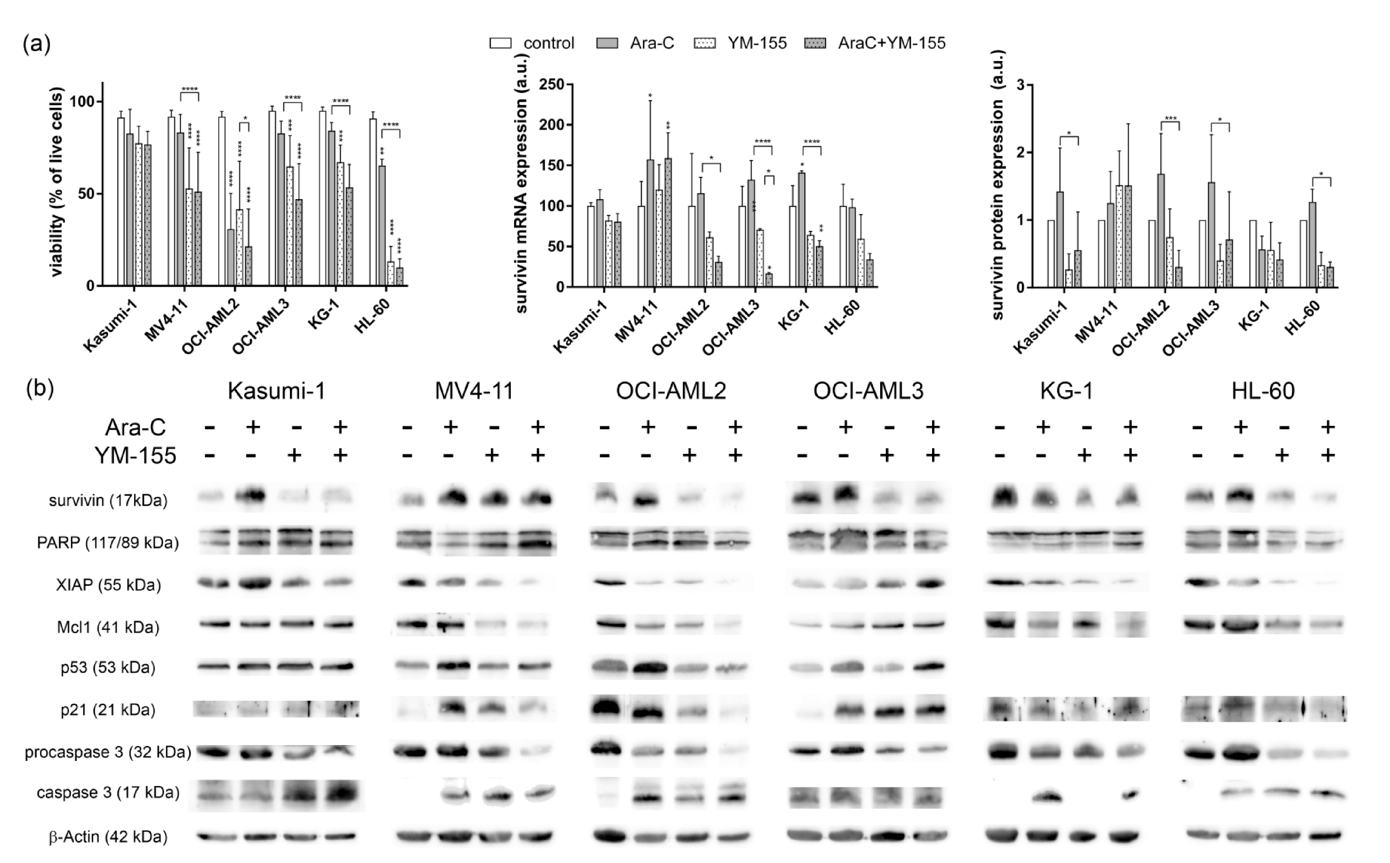 Applsci 11 00460 g005