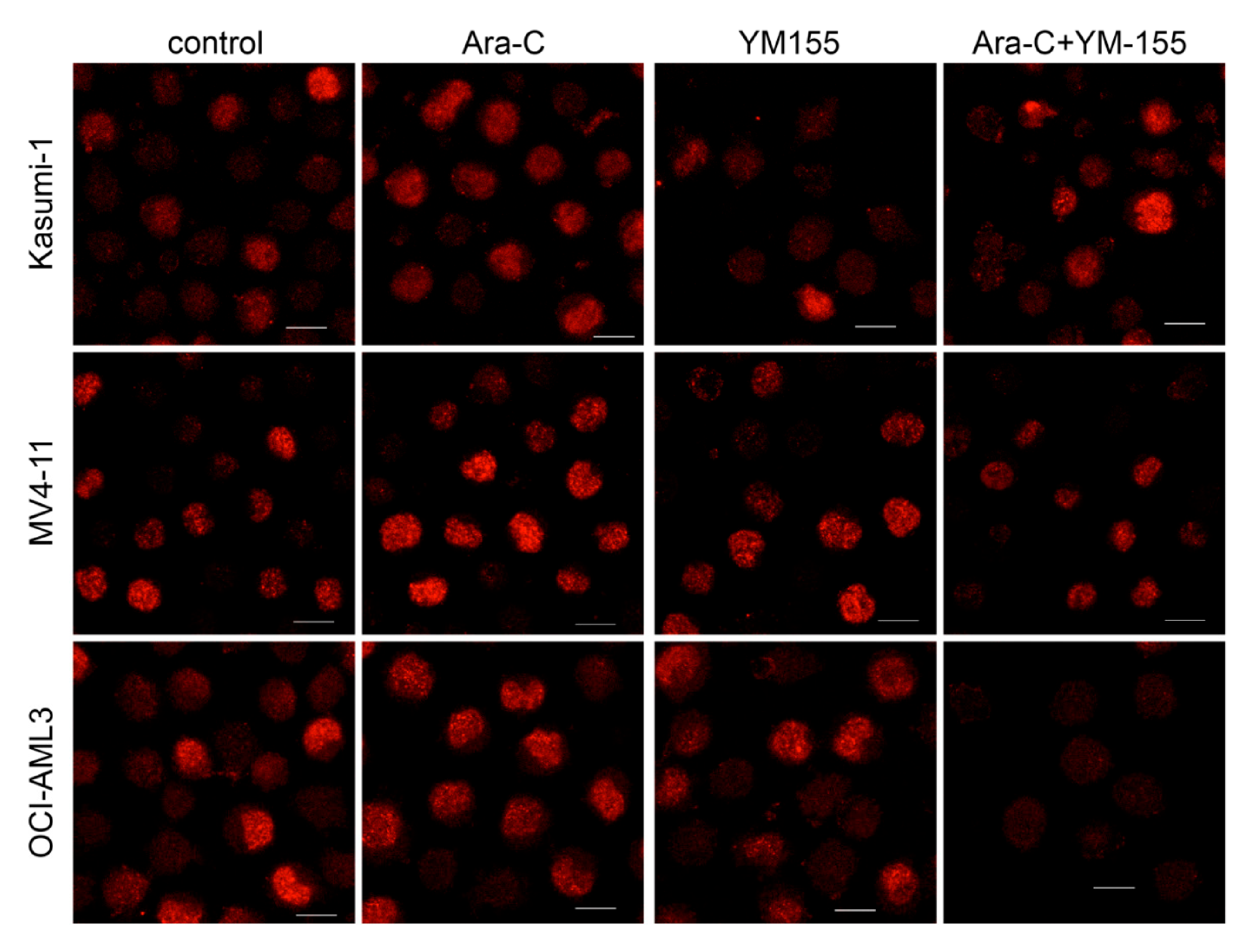 Applsci 11 00460 g006