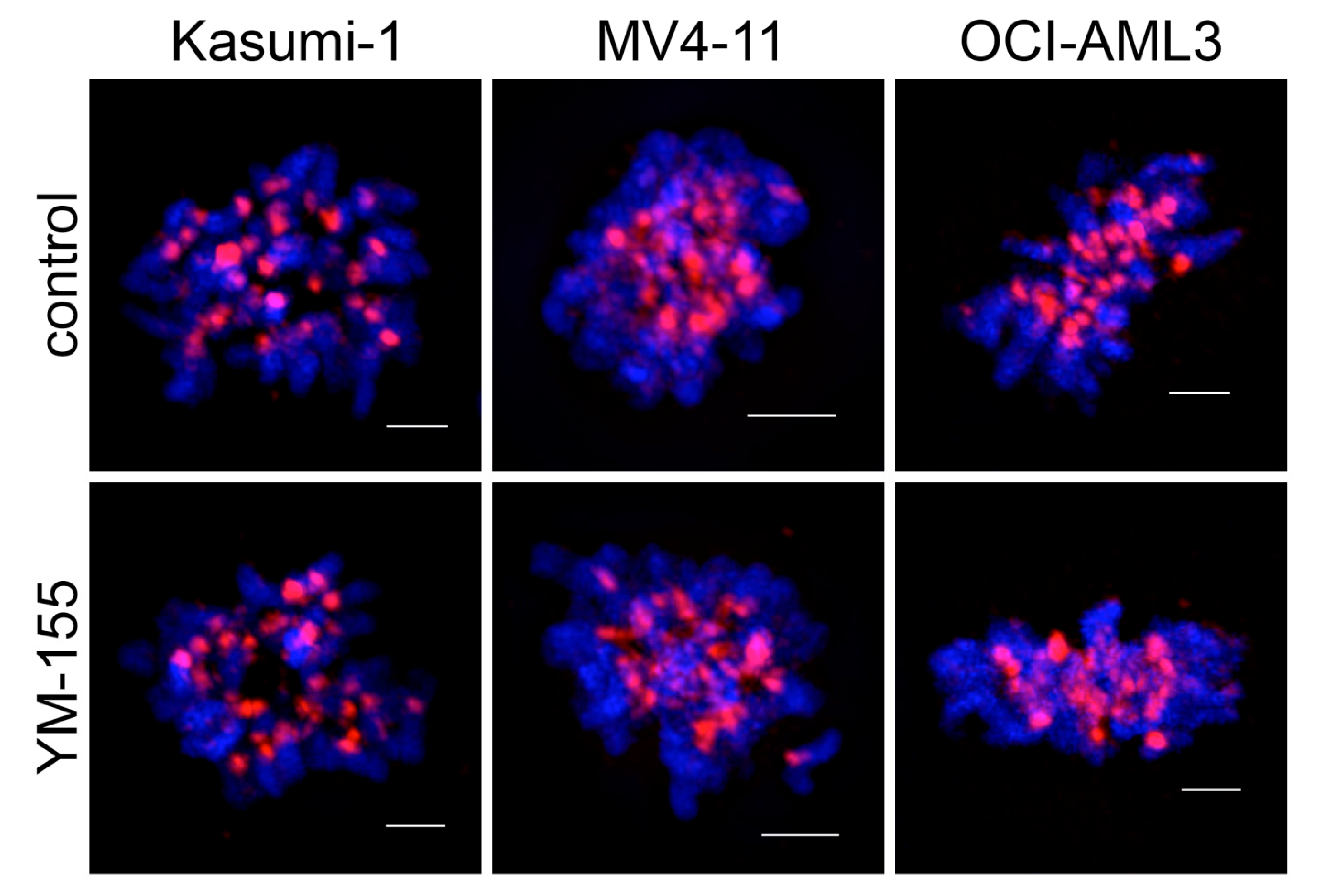 Applsci 11 00460 g007