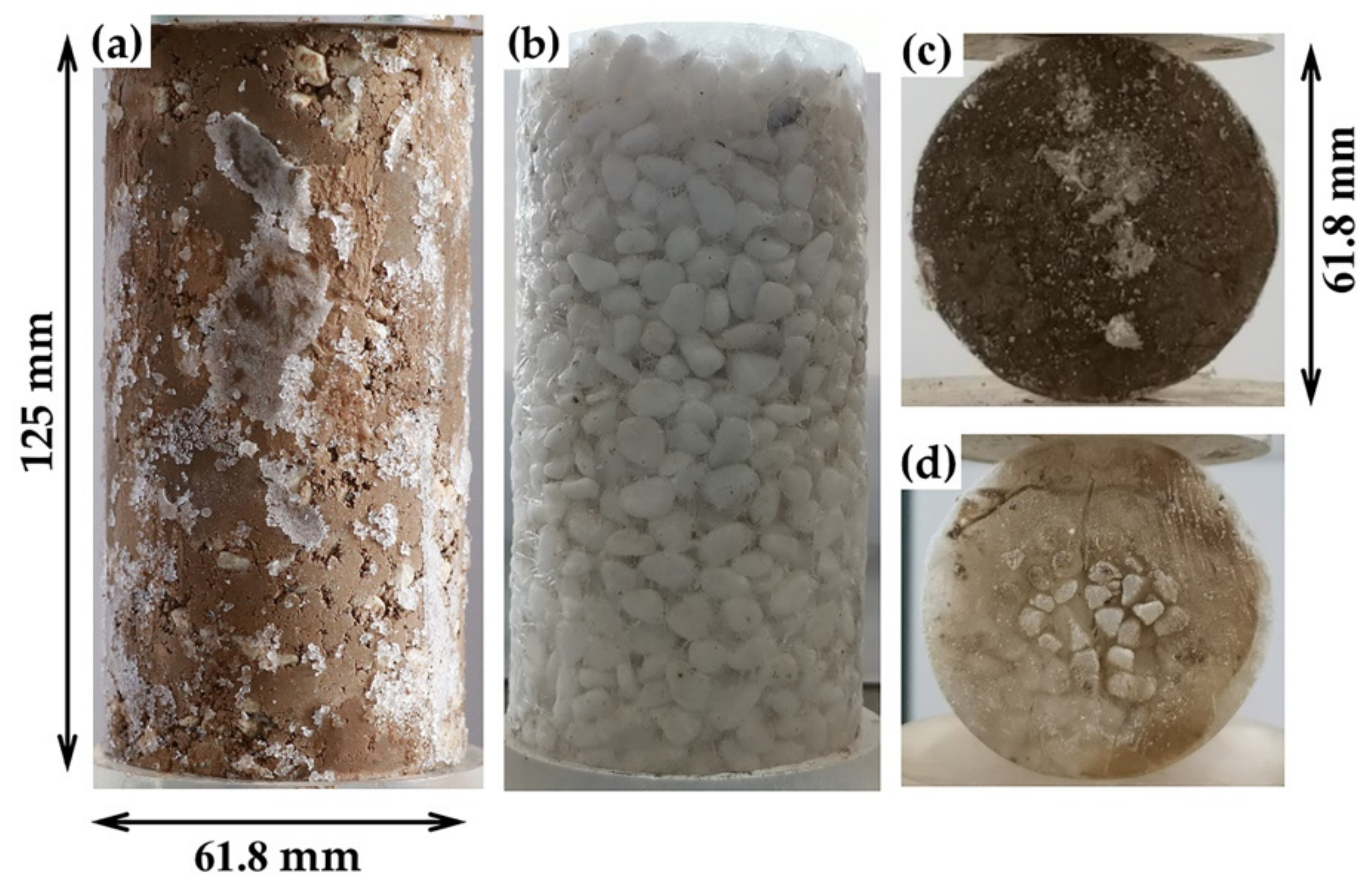 Applsci 11 00461 g002 Applsci 11 00461 g002