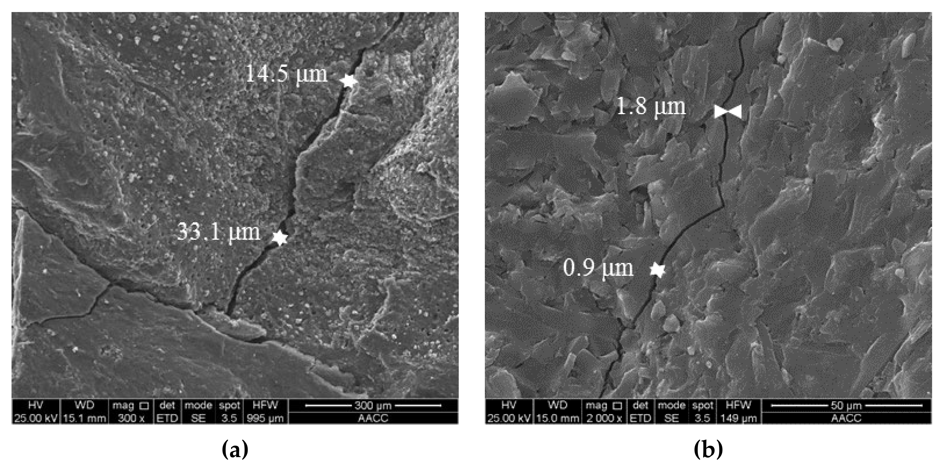 Applsci 11 00462 g001