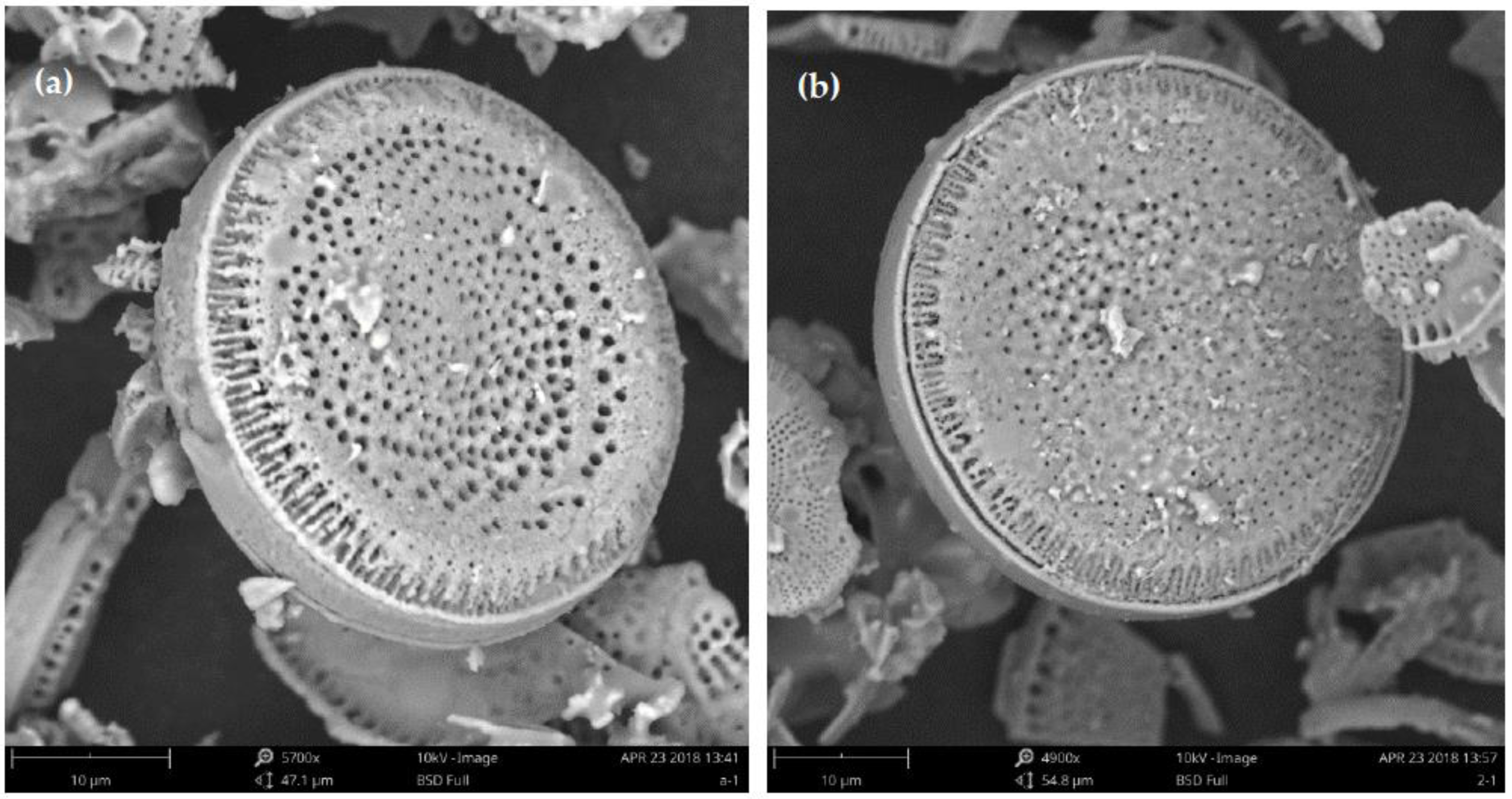 Applsci 11 00468 g002 Applsci 11 00468 g002