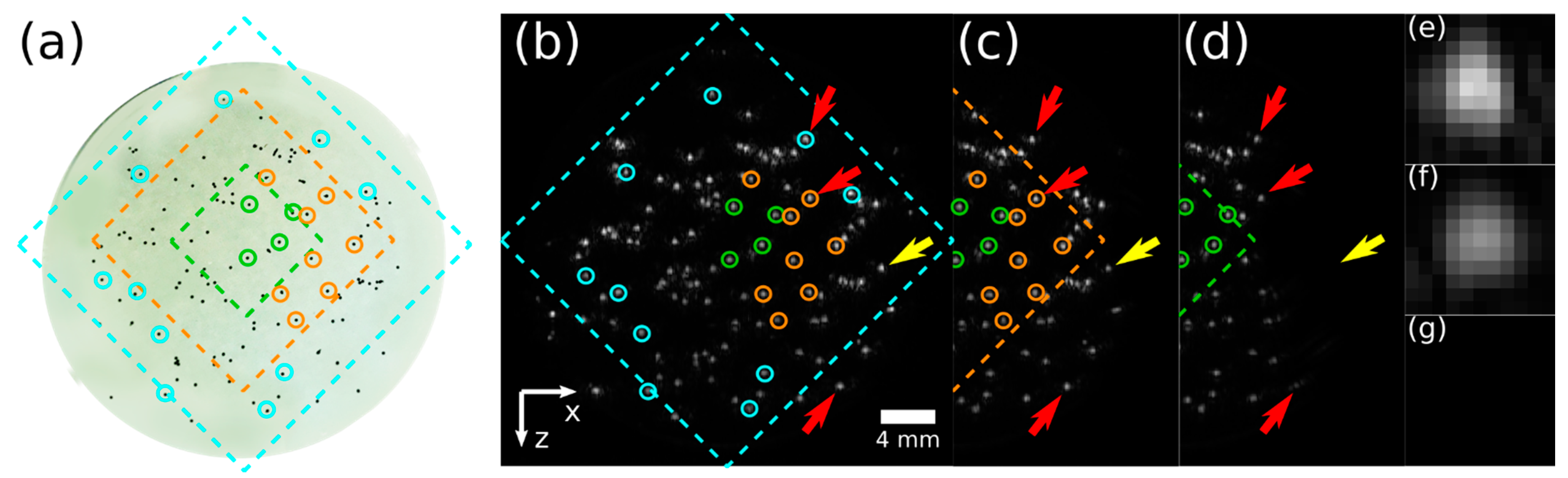 Applsci 11 00493 g004 Applsci 11 00493 g004