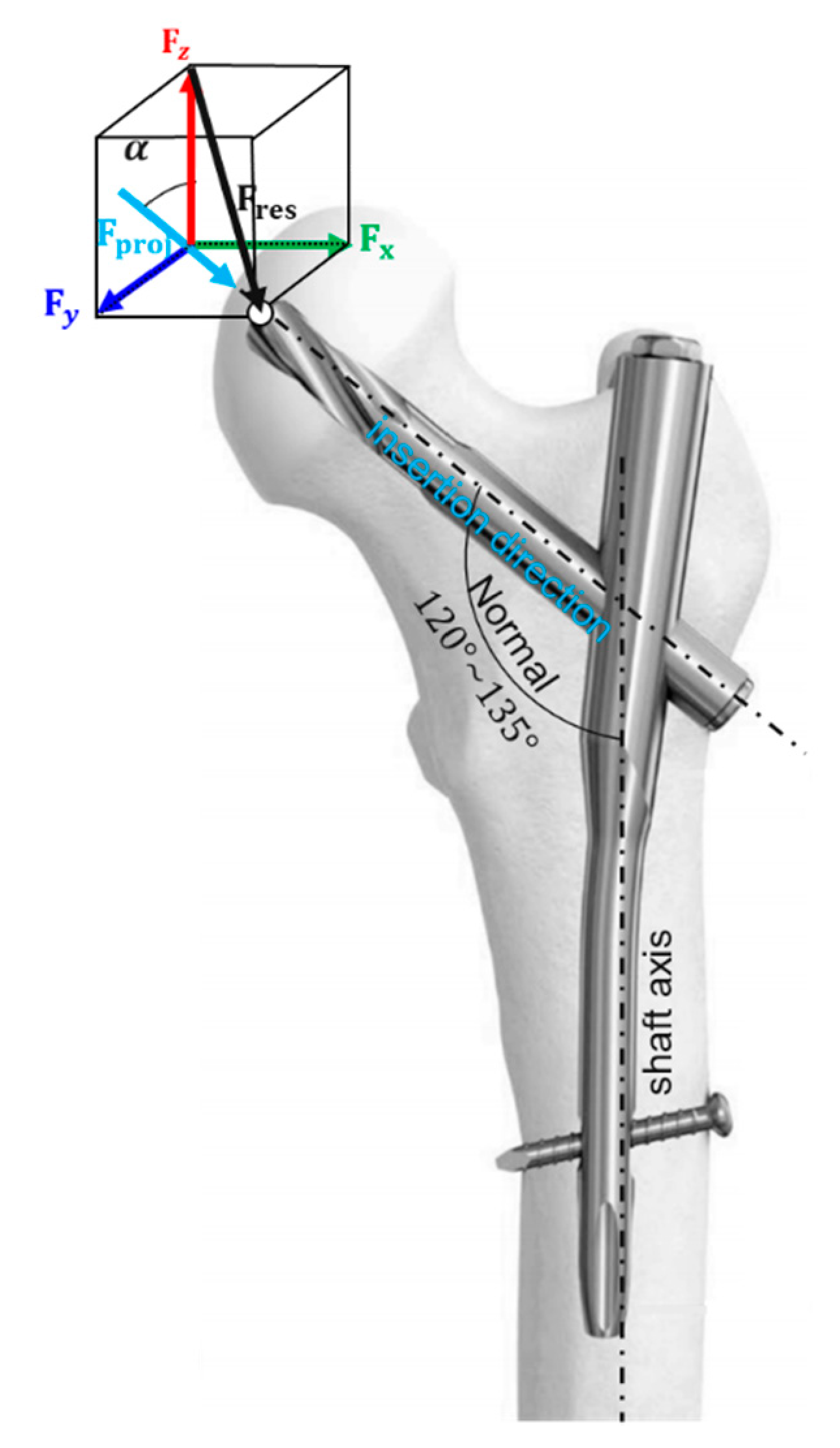 Applsci 11 00496 g013
