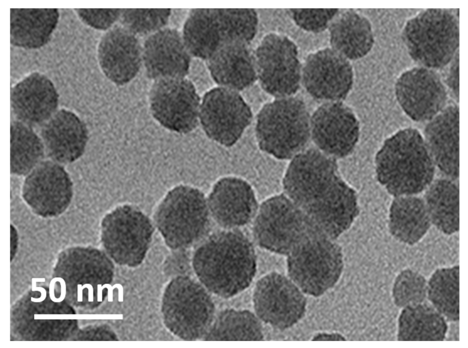 Applsci 11 00524 g002 Applsci 11 00524 g002