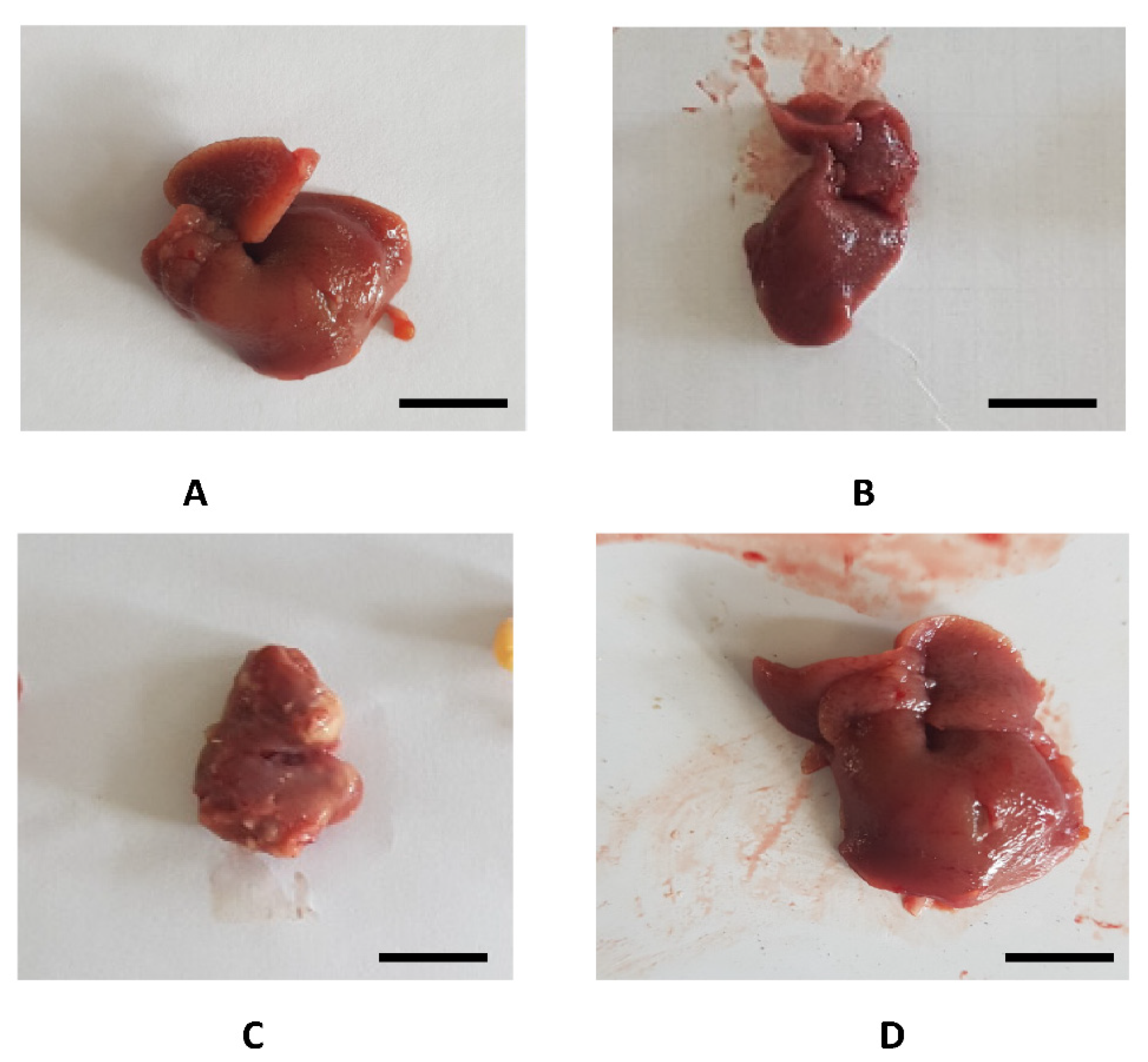 Applsci 11 00554 g005