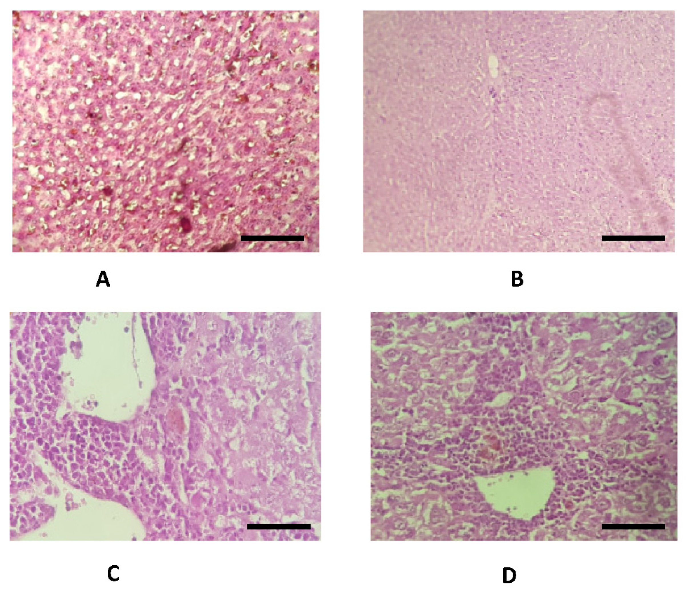 Applsci 11 00554 g006