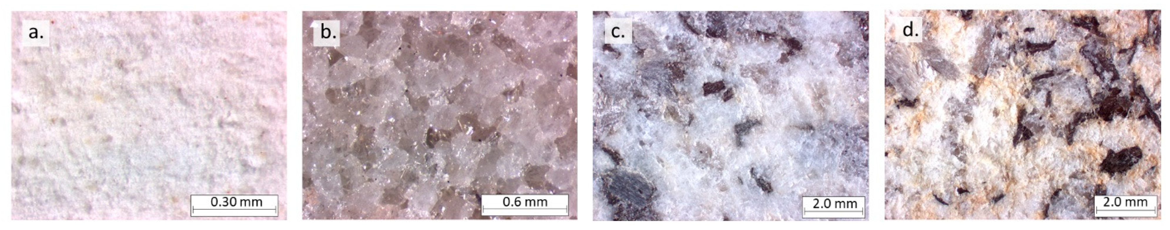 Applsci 11 00559 g001 Applsci 11 00559 g001