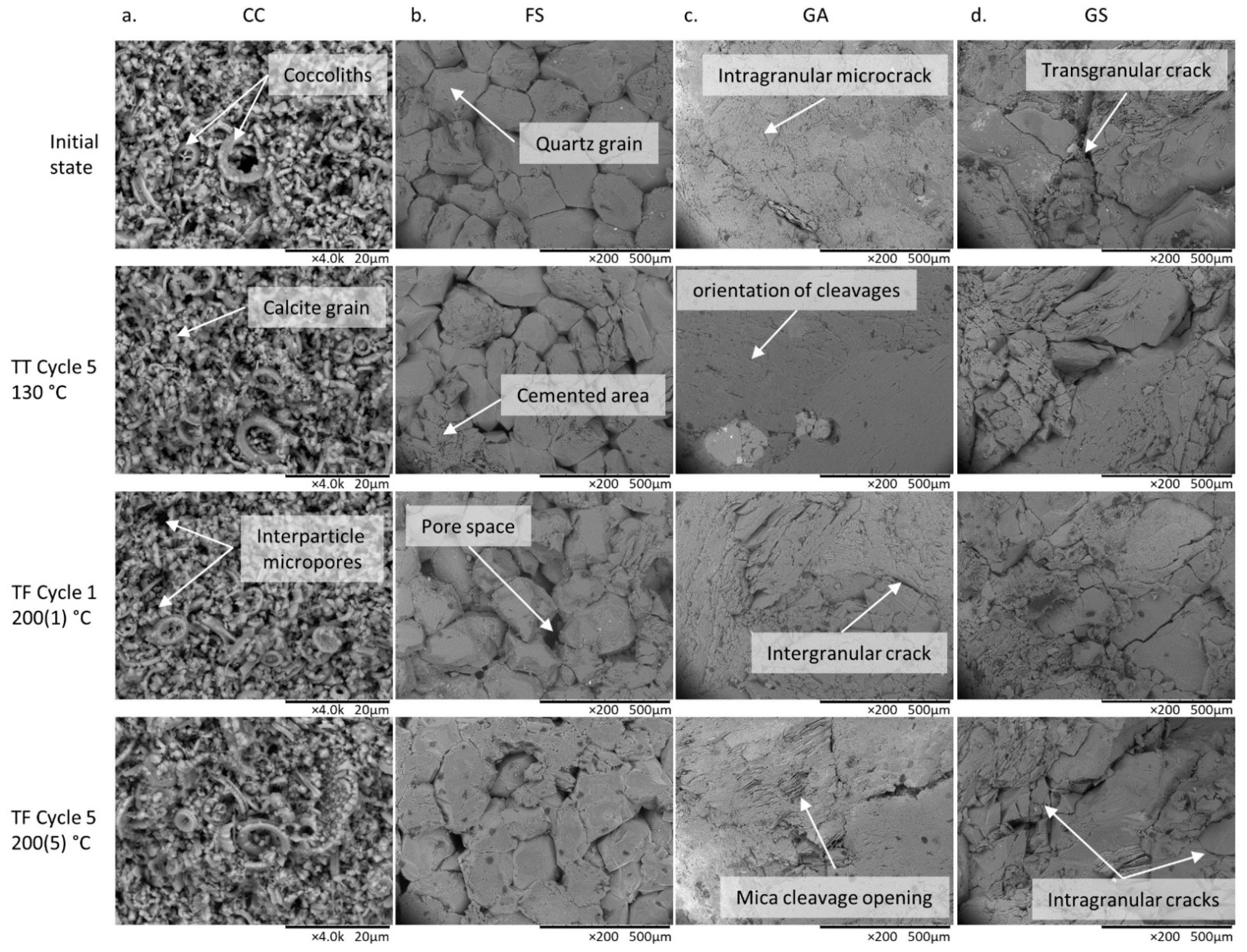 Applsci 11 00559 g004 Applsci 11 00559 g004