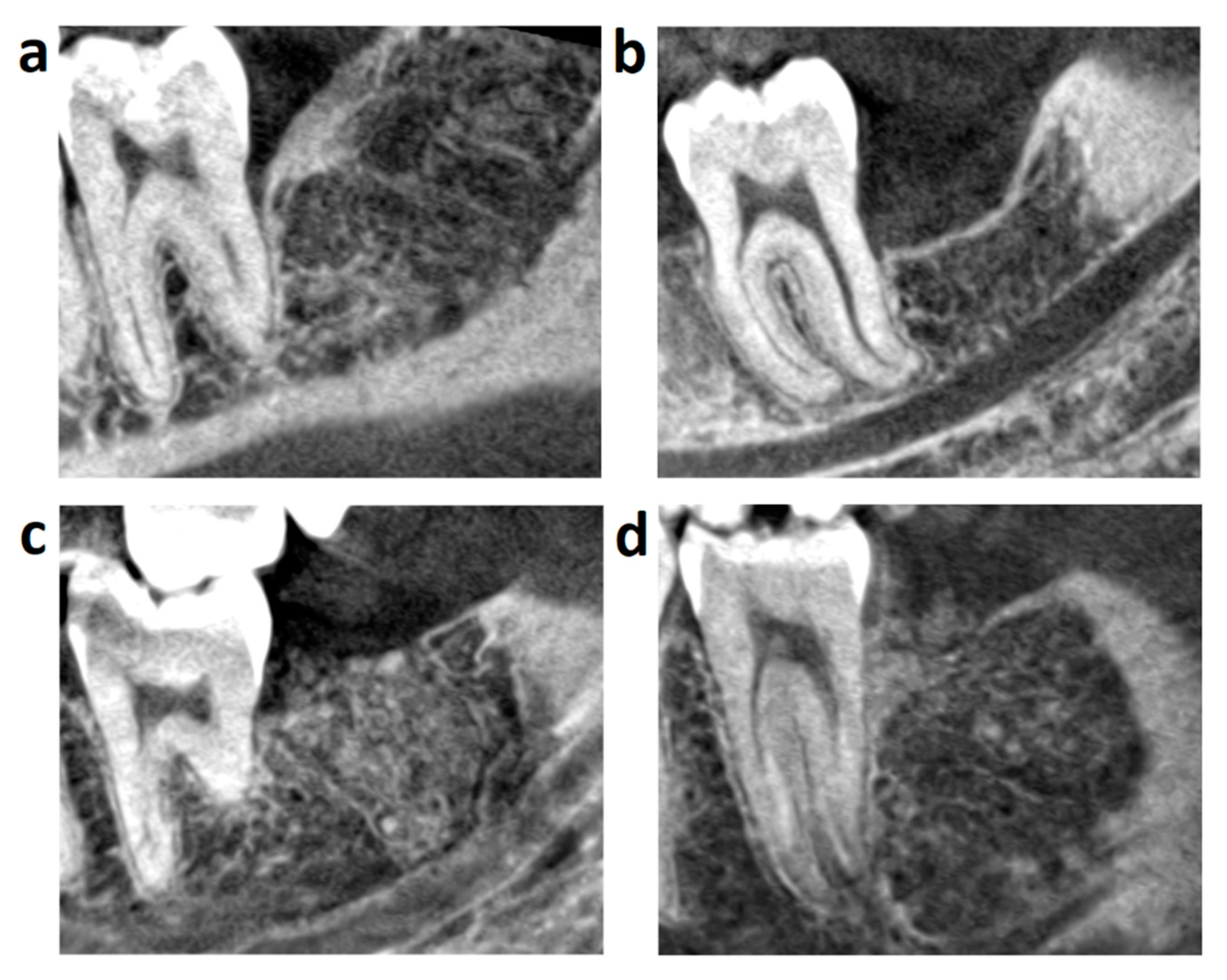 Applsci 11 00586 g002