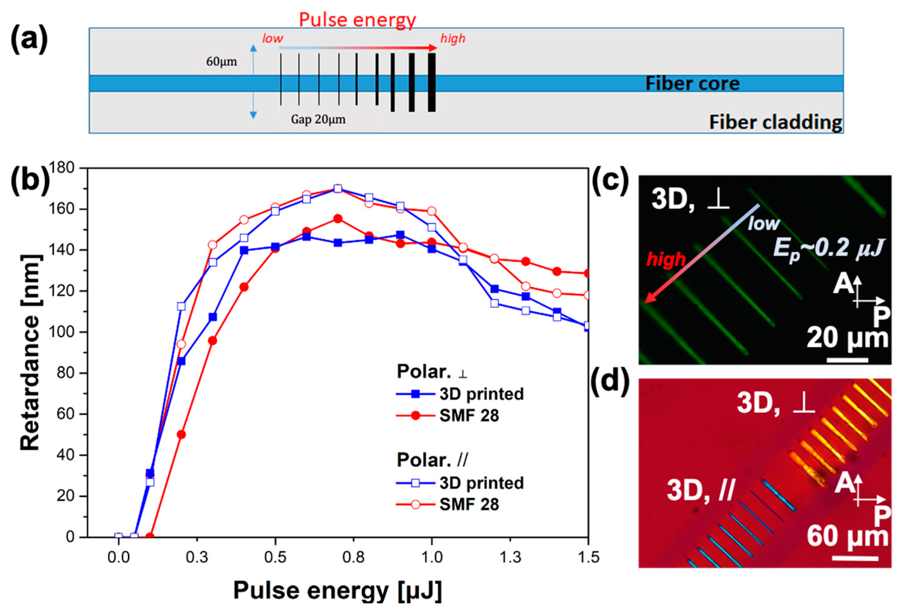 Applsci 11 00600 g003