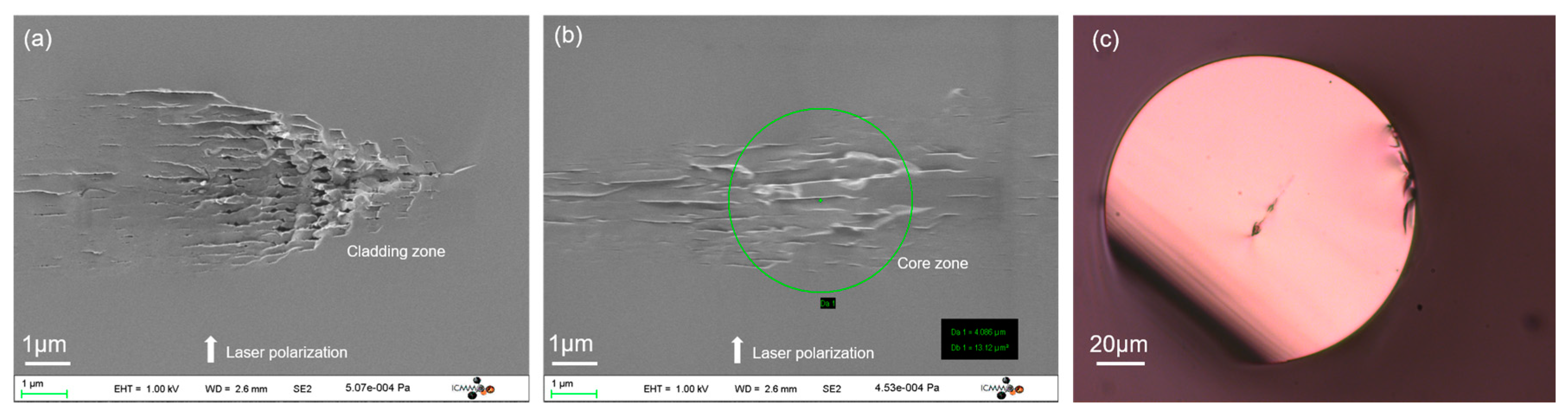 Applsci 11 00600 g004