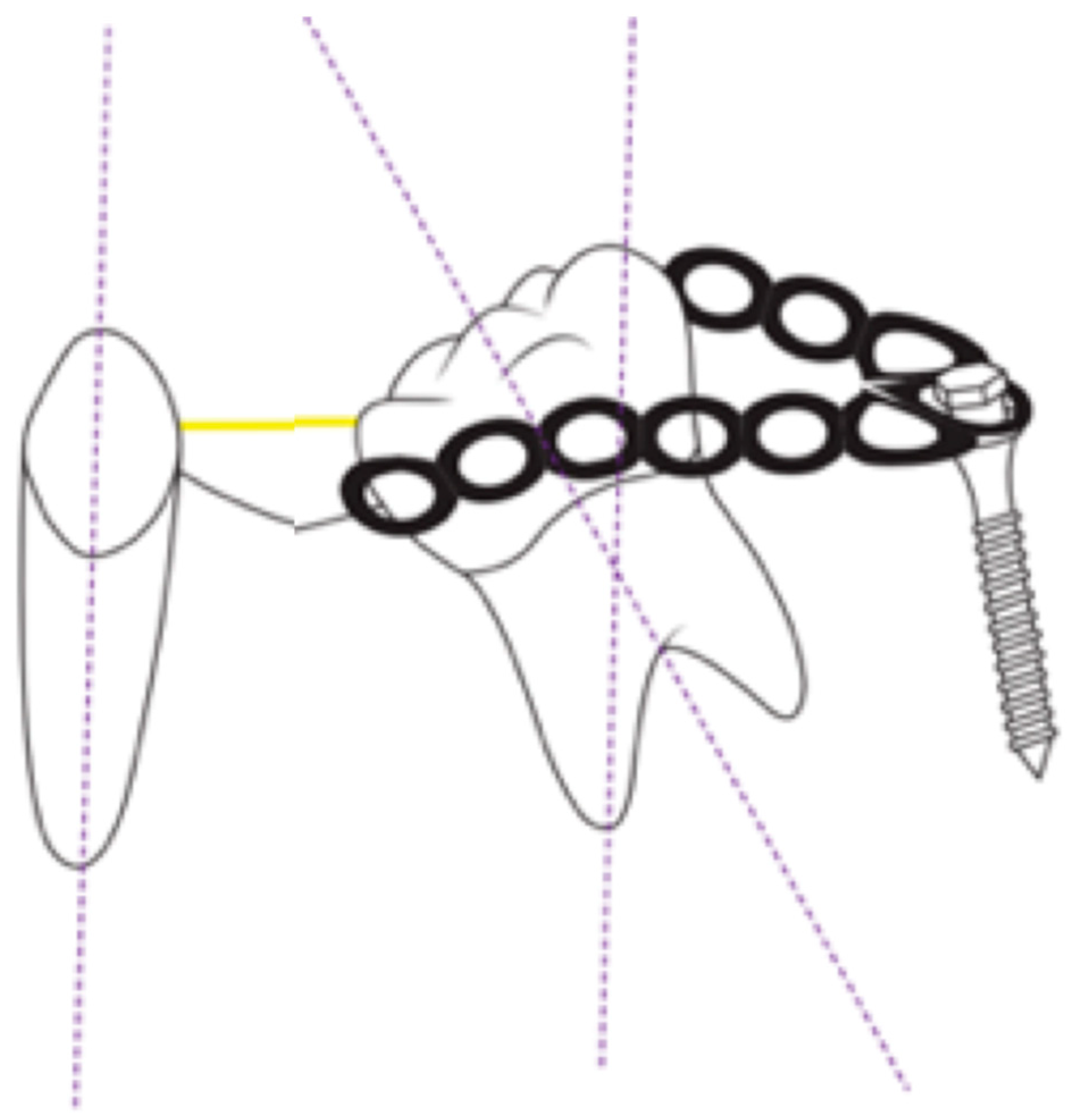 Applsci 11 00607 g002