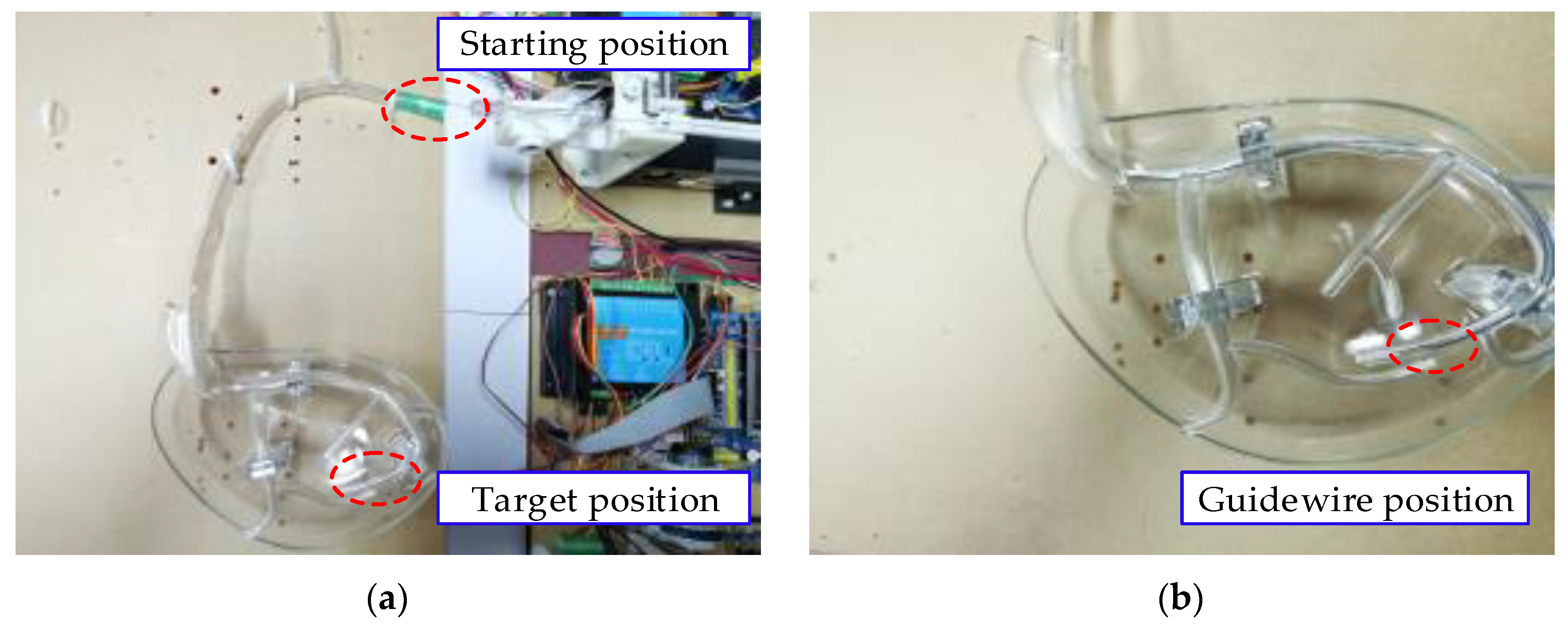 Applsci 11 00611 g024 Applsci 11 00611 g024