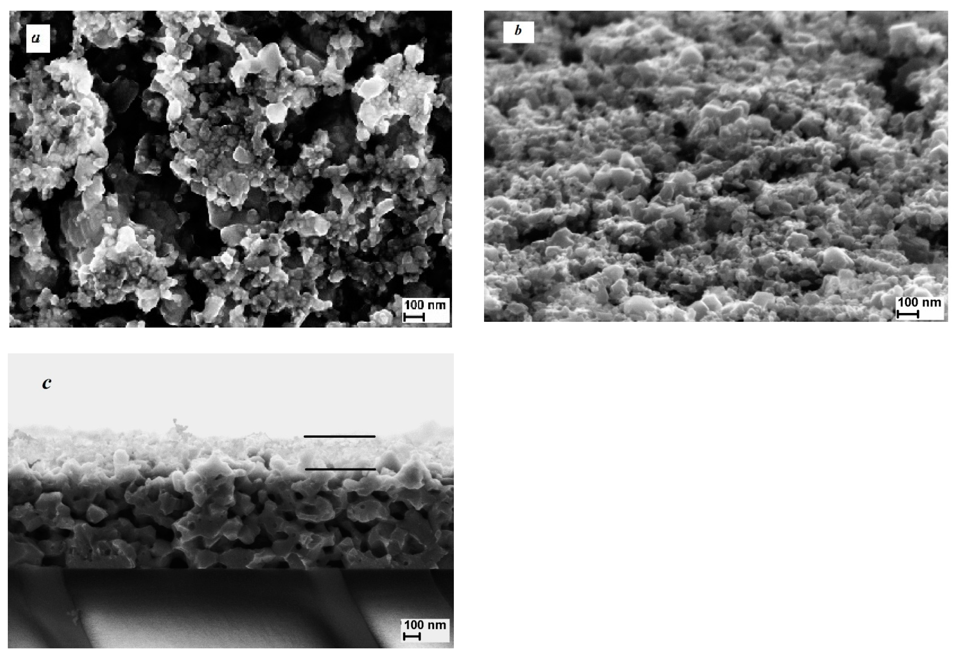 Applsci 11 00612 g001 Applsci 11 00612 g001