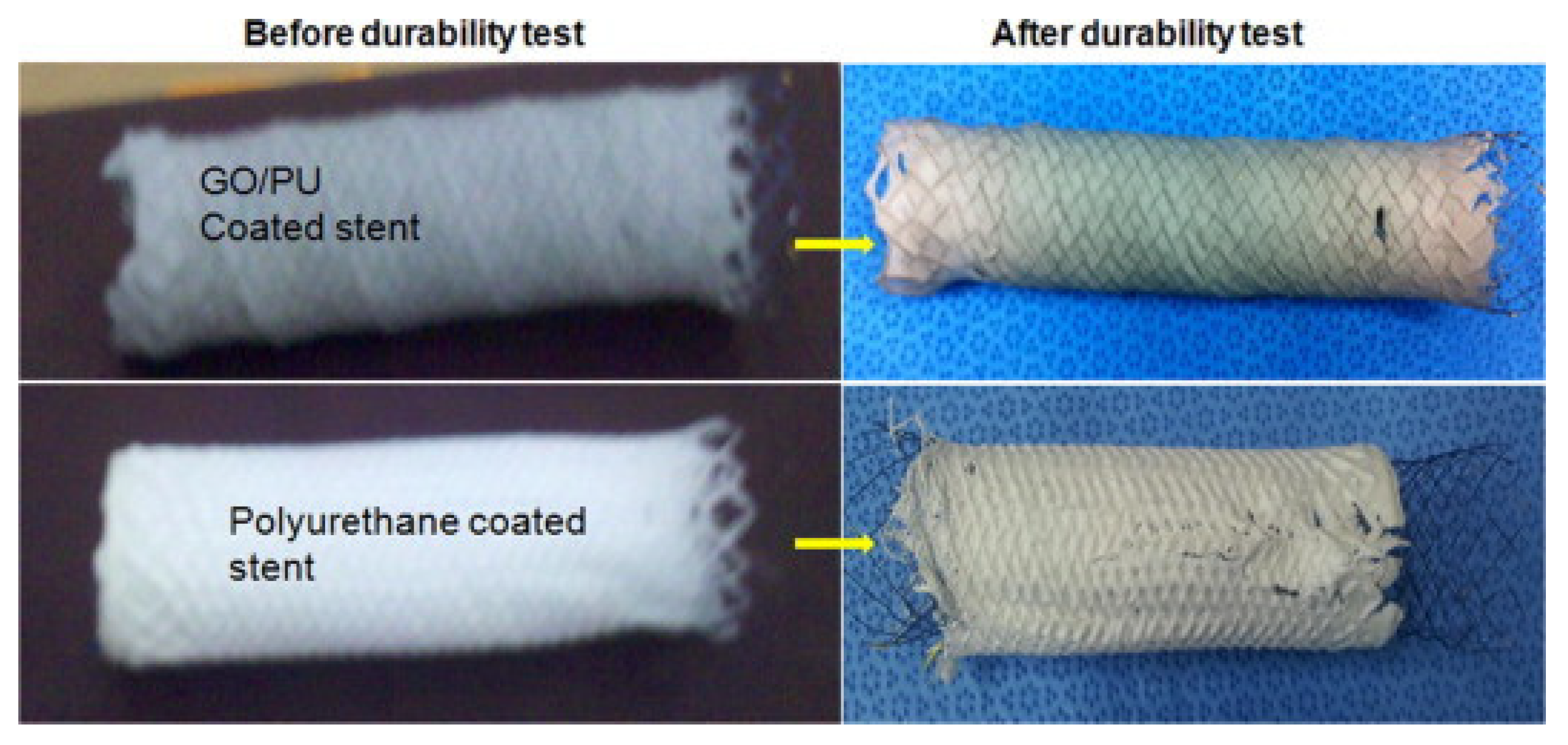 Applsci 11 00614 g003 Applsci 11 00614 g003