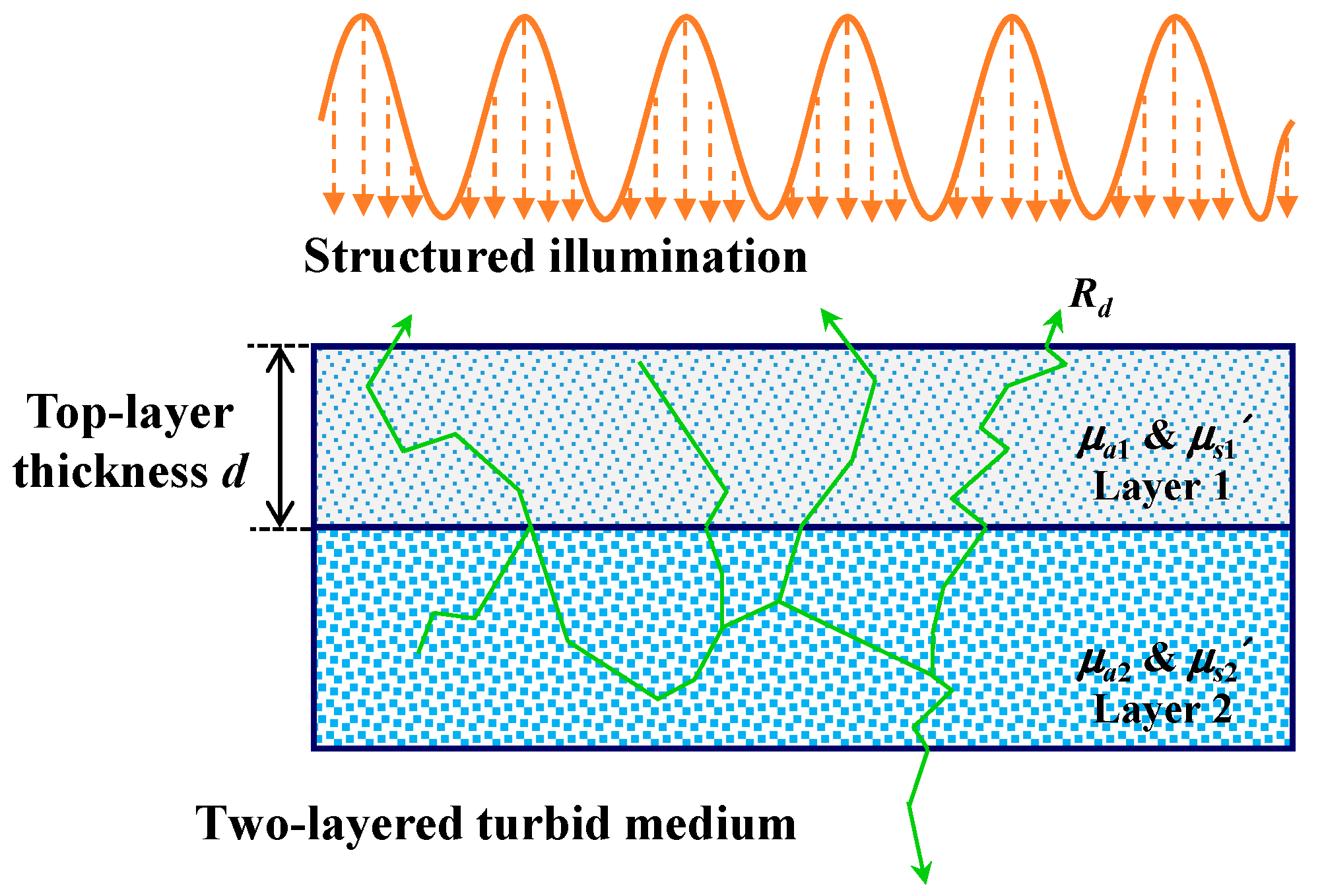 Applsci 11 00617 g001 Applsci 11 00617 g001