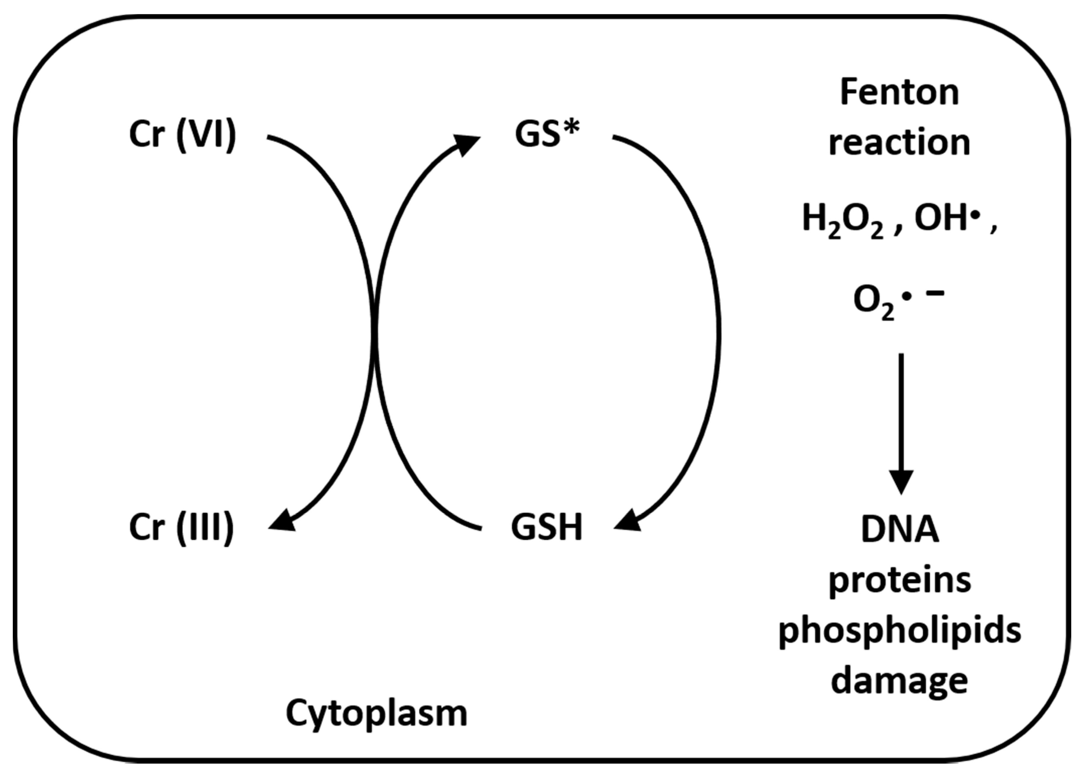 Applsci 11 00638 g002