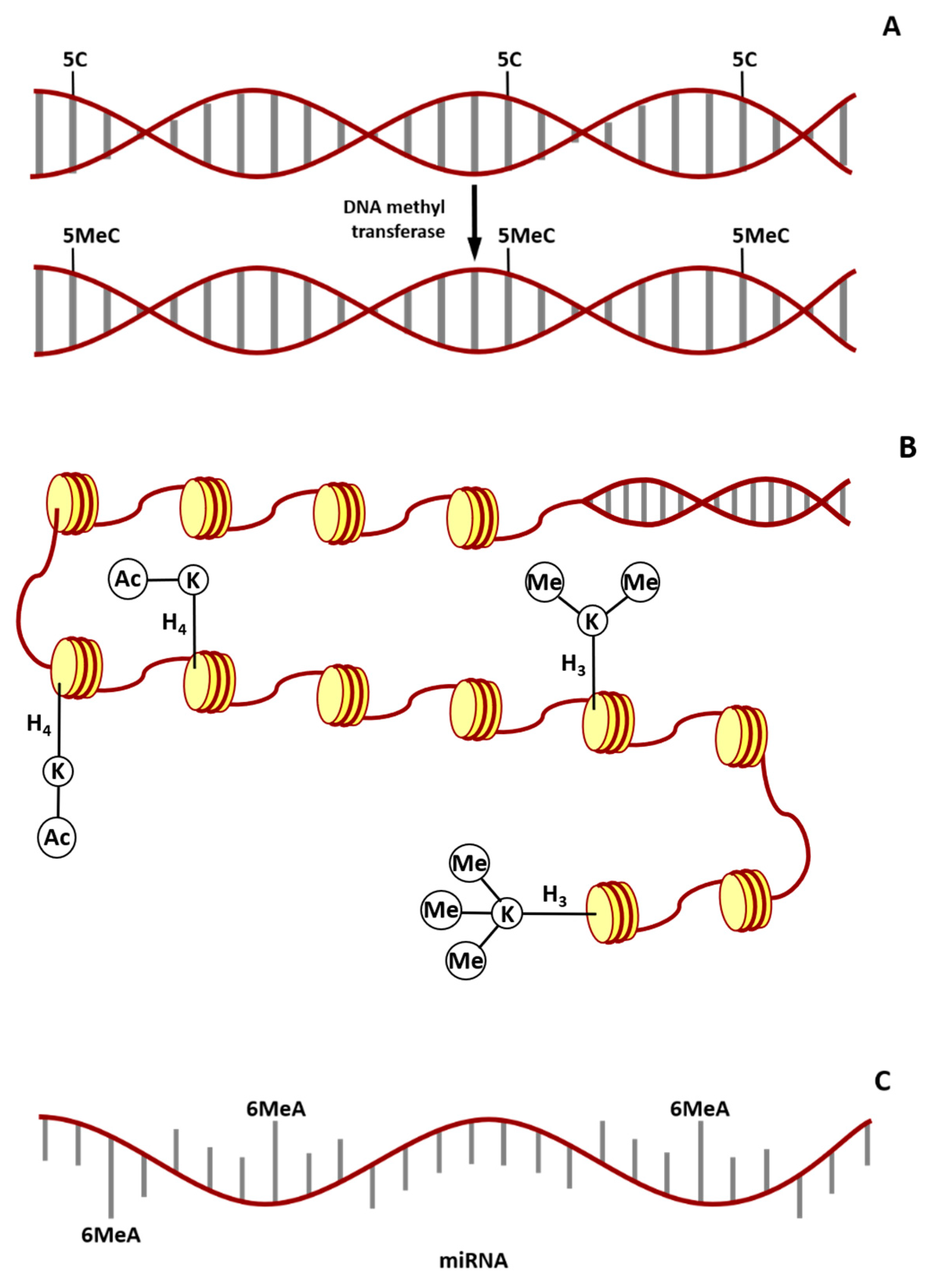 Applsci 11 00638 g003