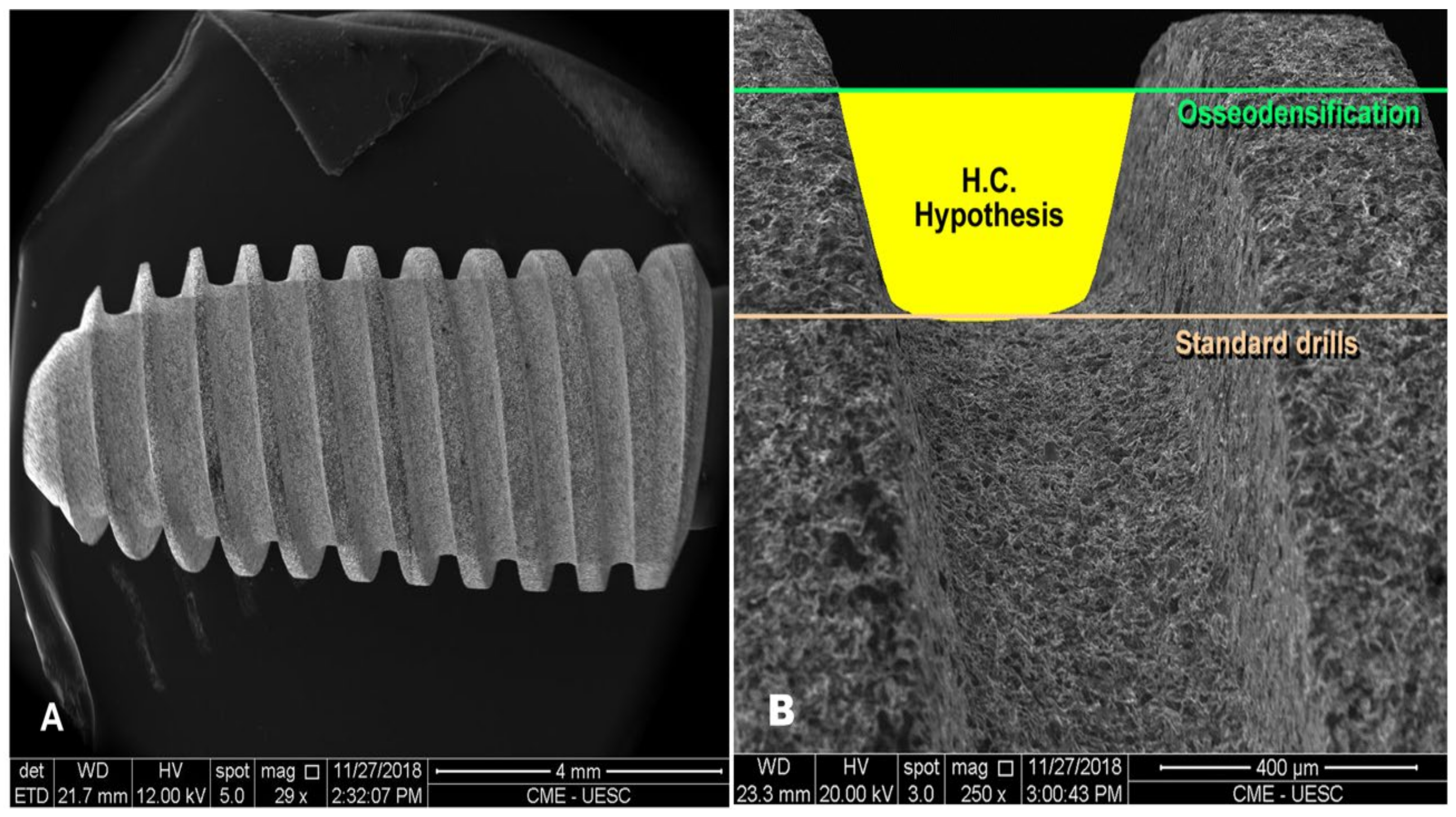 Applsci 11 00640 g003 Applsci 11 00640 g003