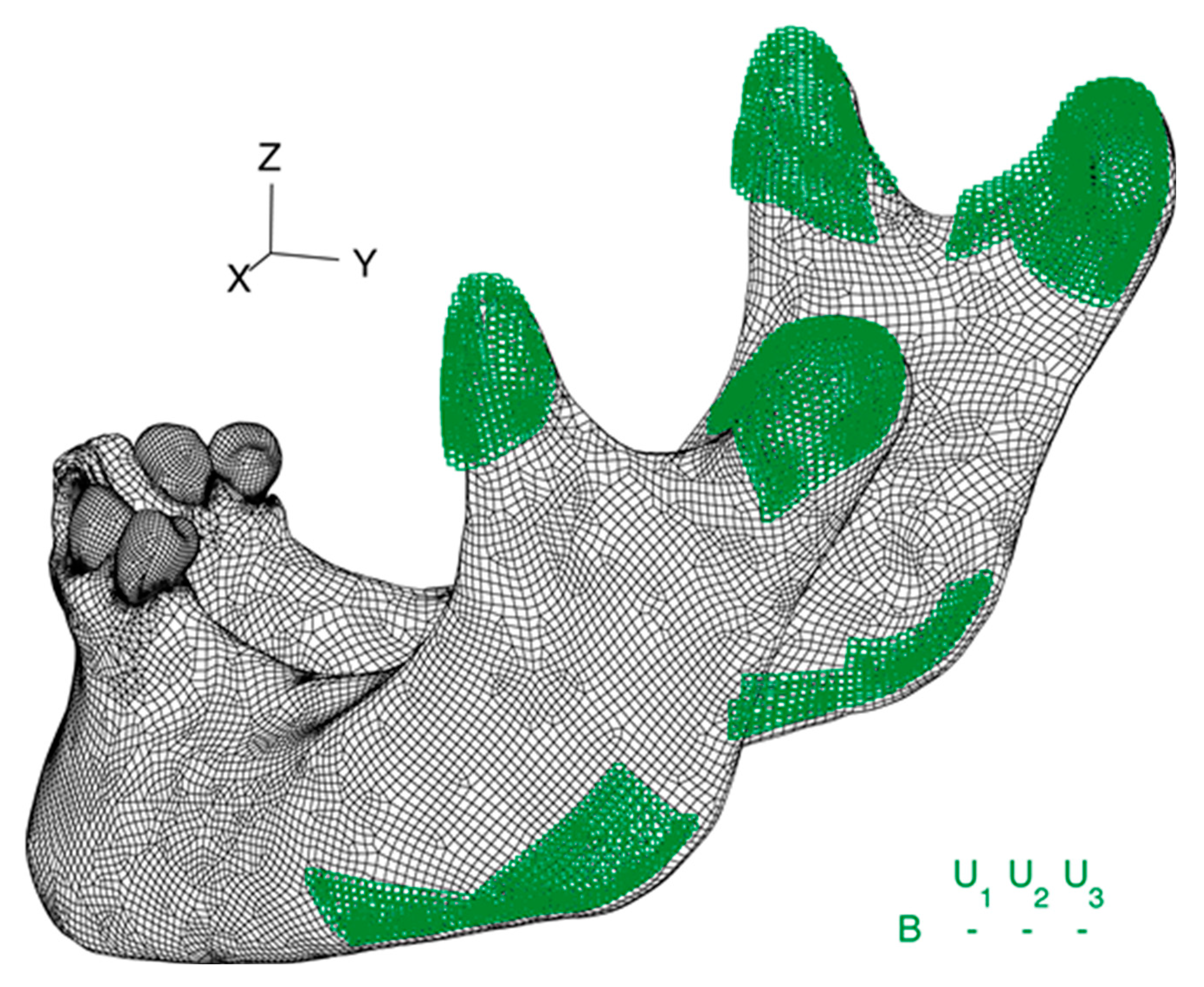 Applsci 11 00659 g001