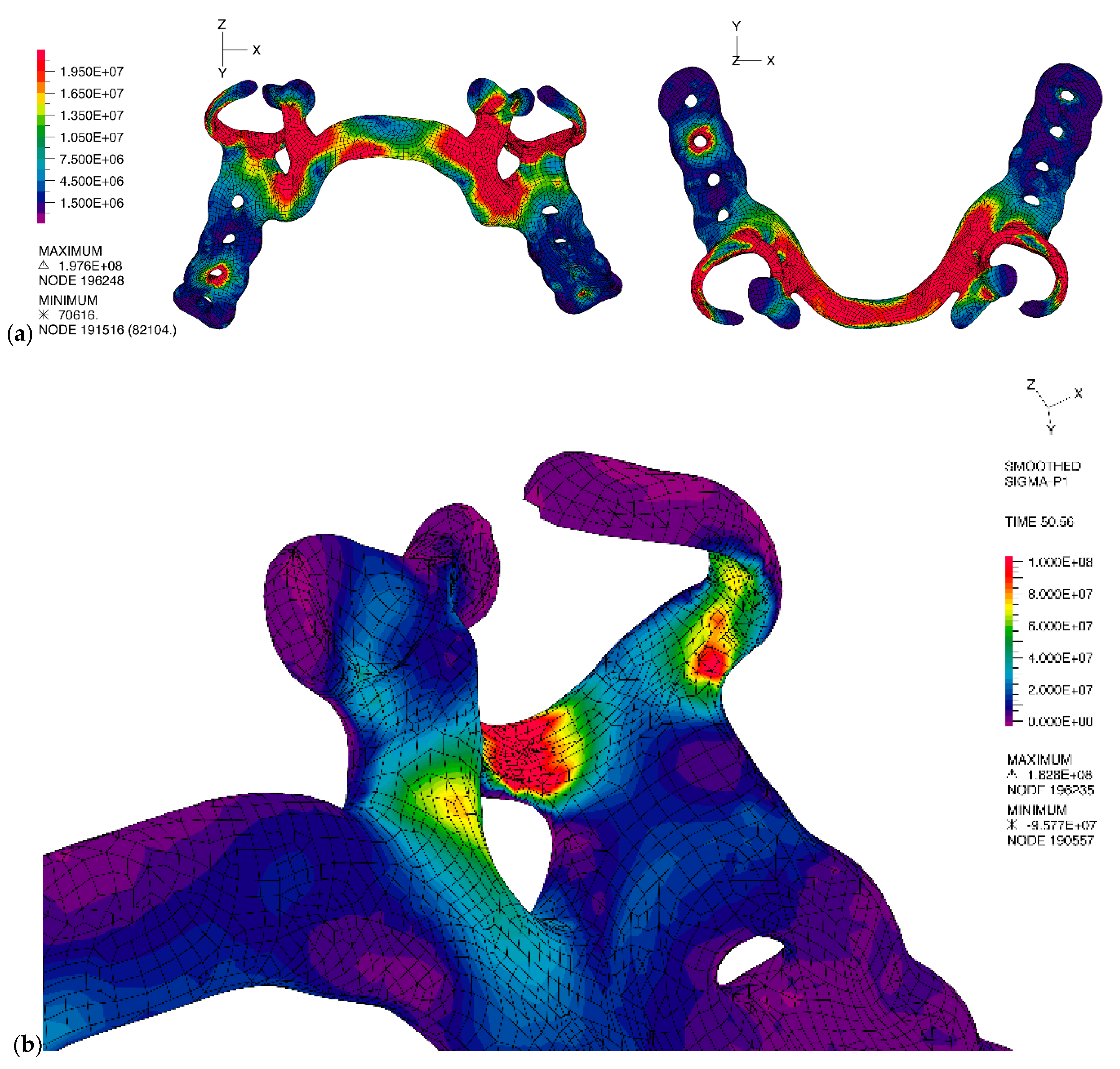Applsci 11 00659 g005