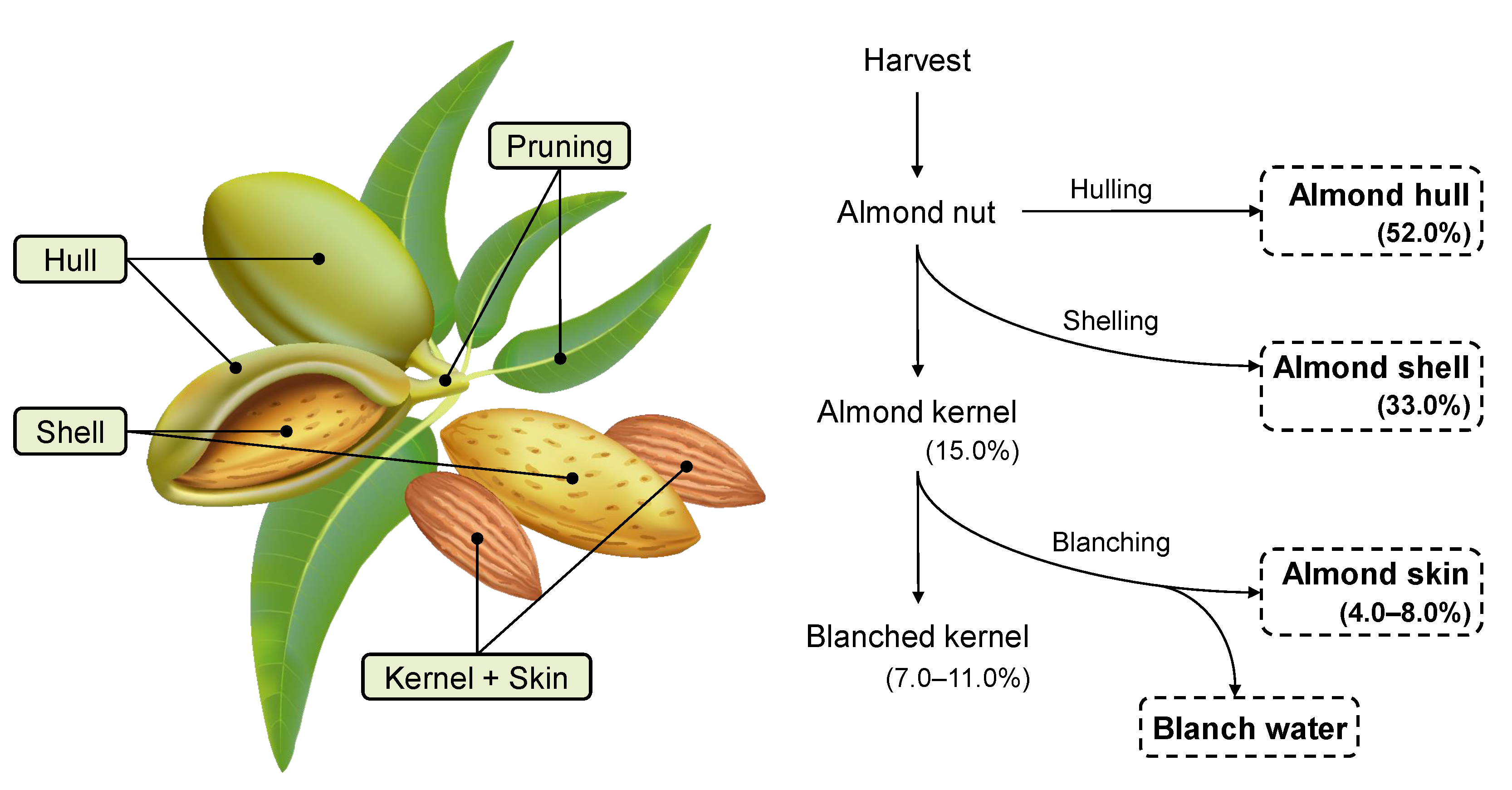 Applsci 11 00660 g002