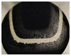 Applsci 11 00664 i004