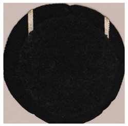 Applsci 11 00664 i009