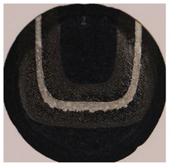 Applsci 11 00664 i010