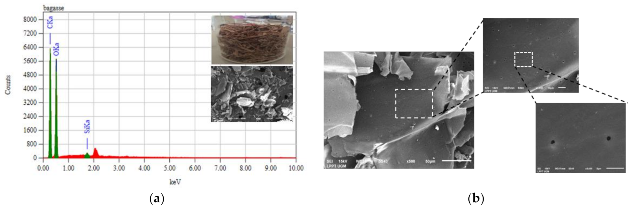 Applsci 11 00678 g001 Applsci 11 00678 g001