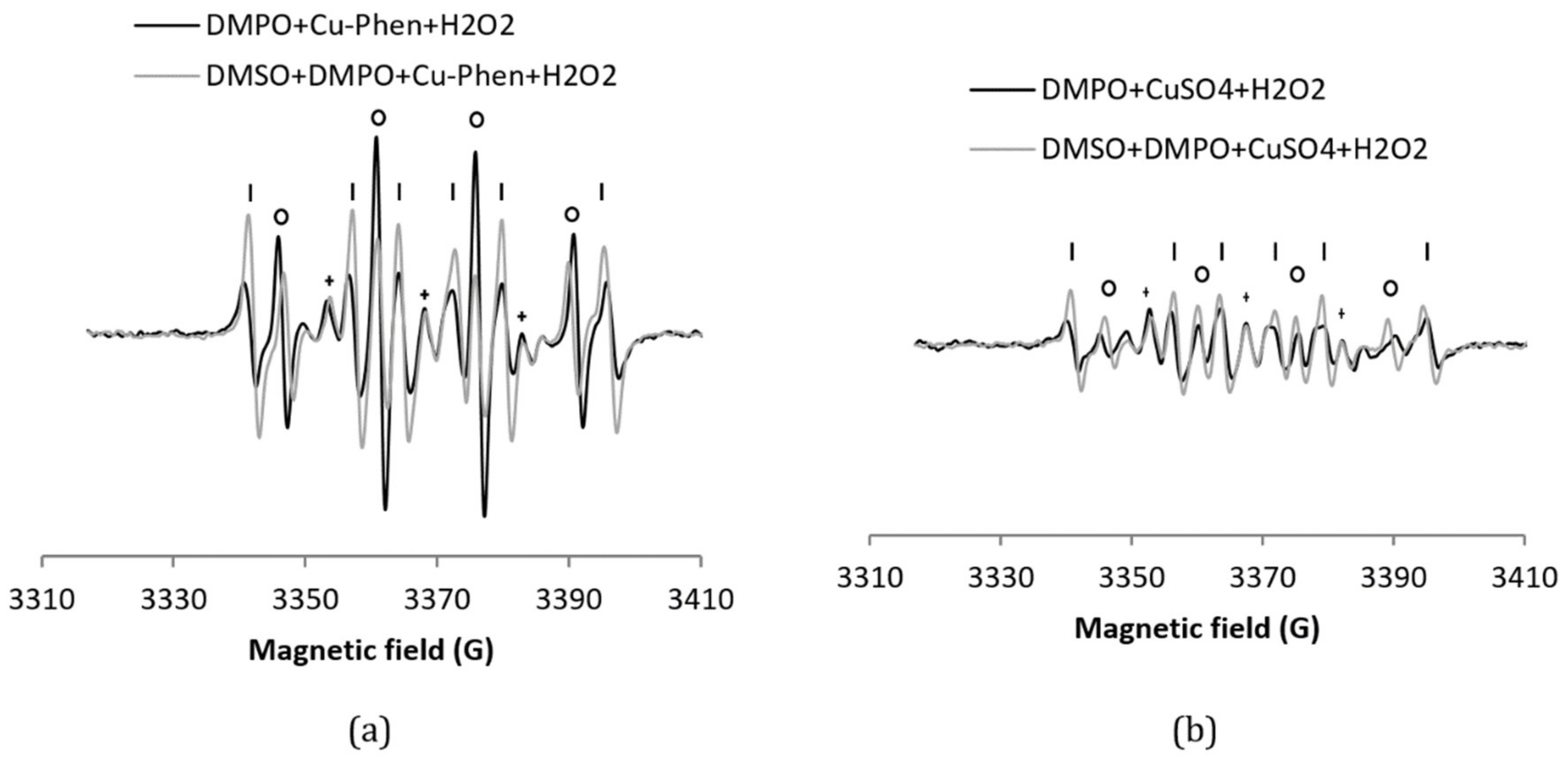 Applsci 11 00687 g005