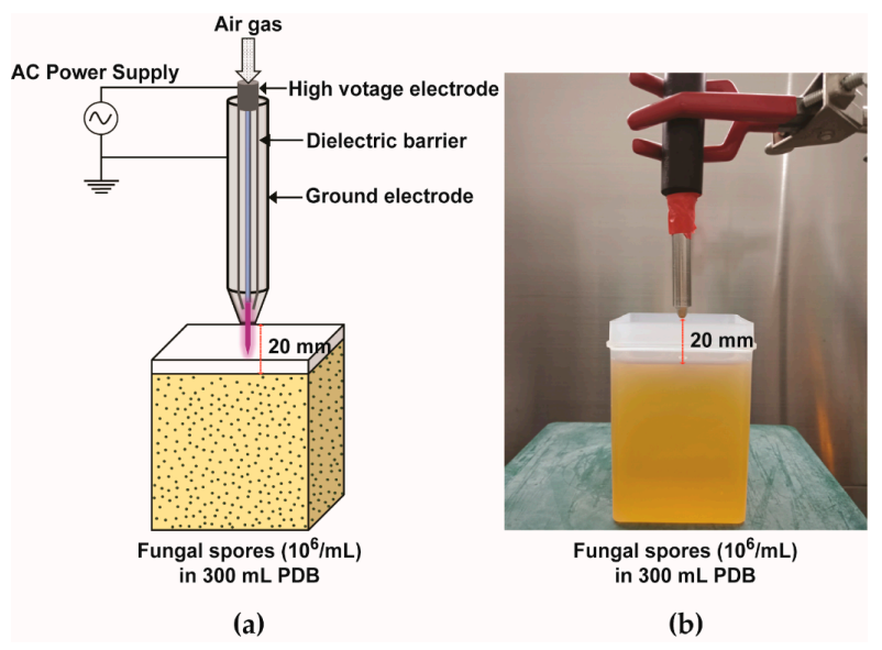 Applsci 11 00691 g001