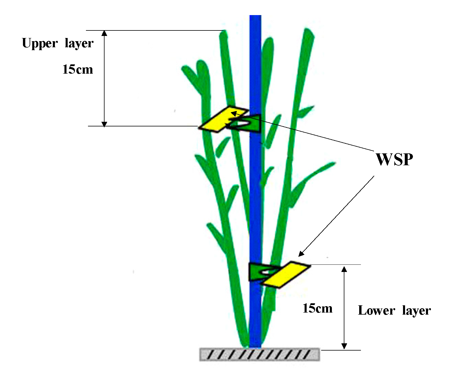 Applsci 11 00712 g003 Applsci 11 00712 g003