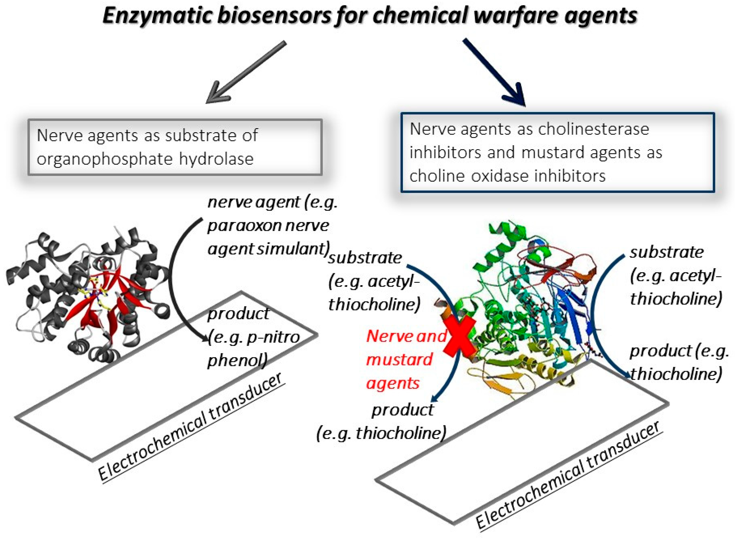 Applsci 11 00720 g001