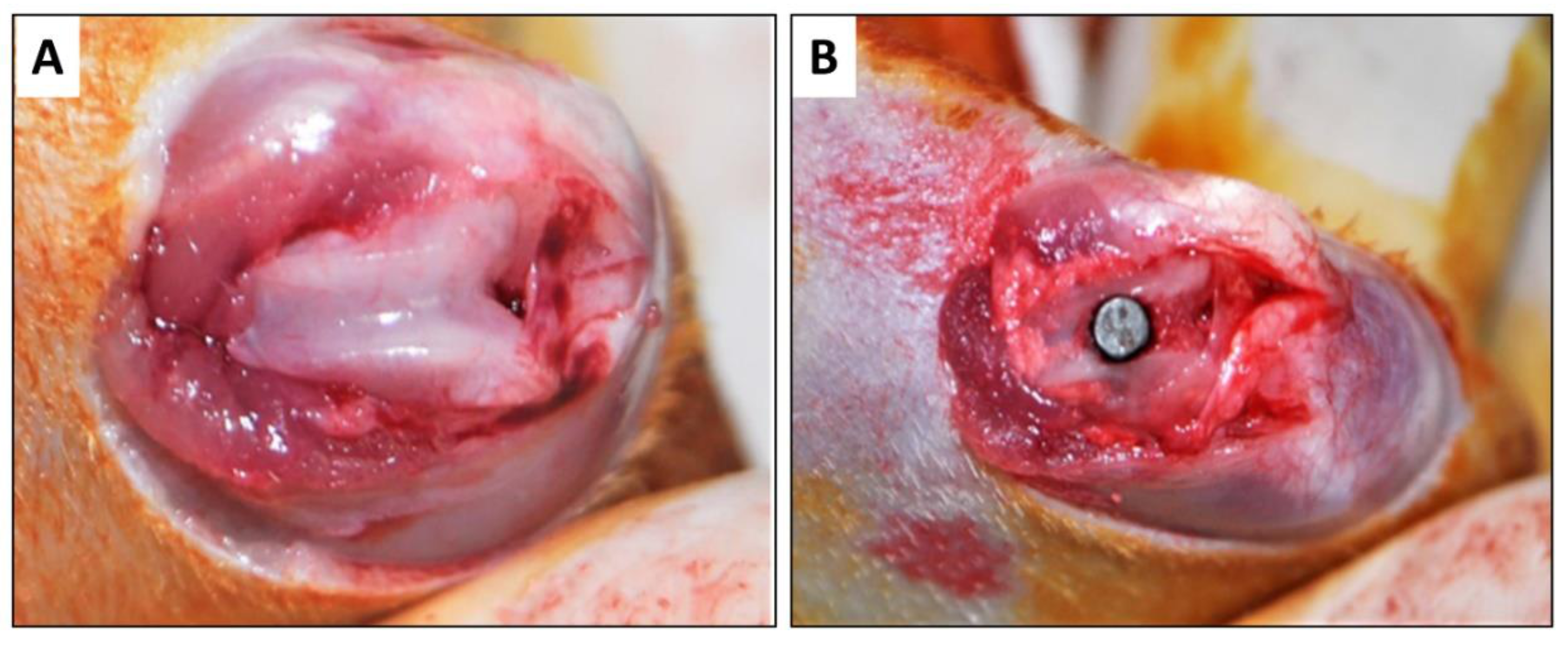 Applsci 11 00723 g001