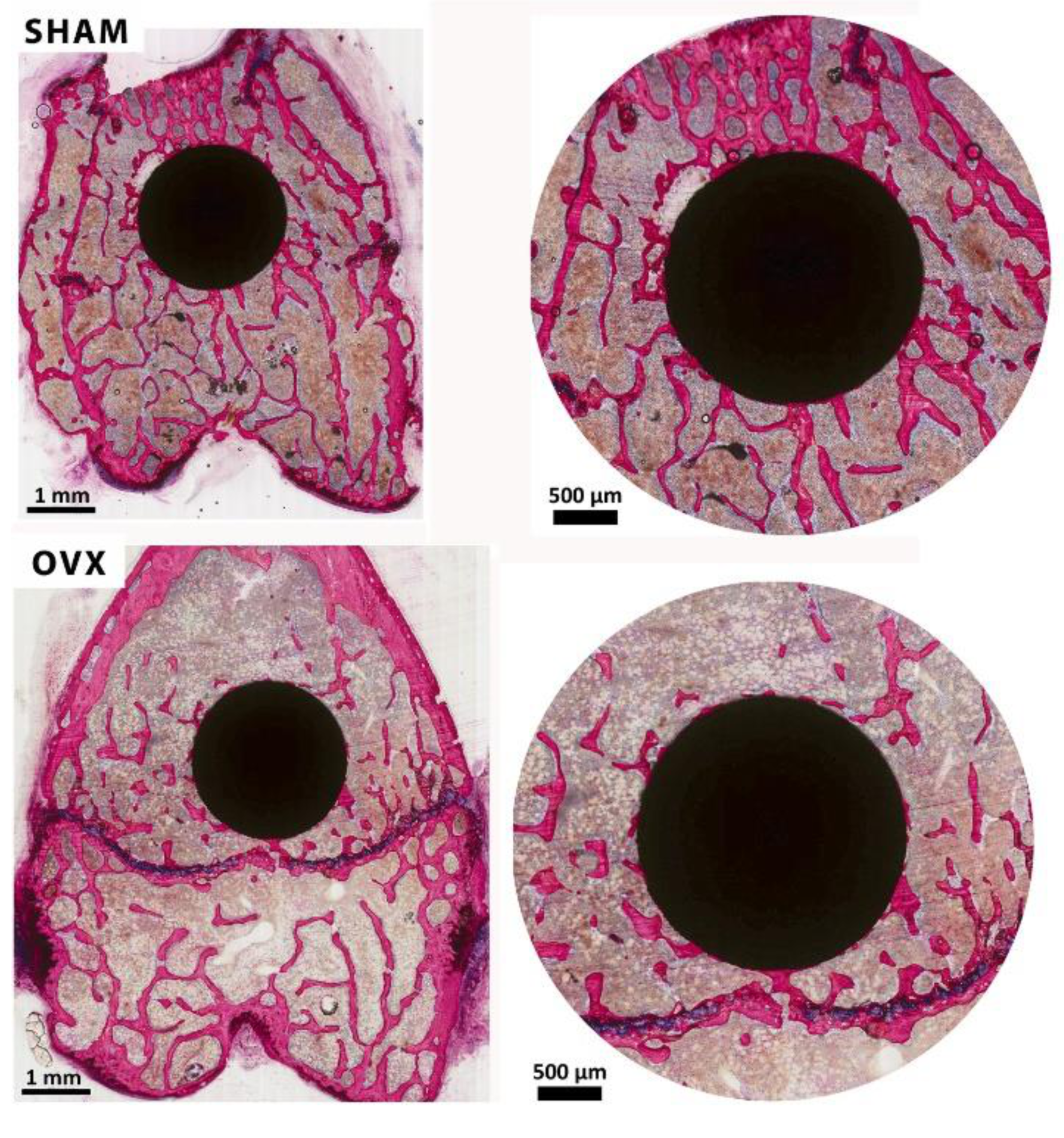 Applsci 11 00723 g004