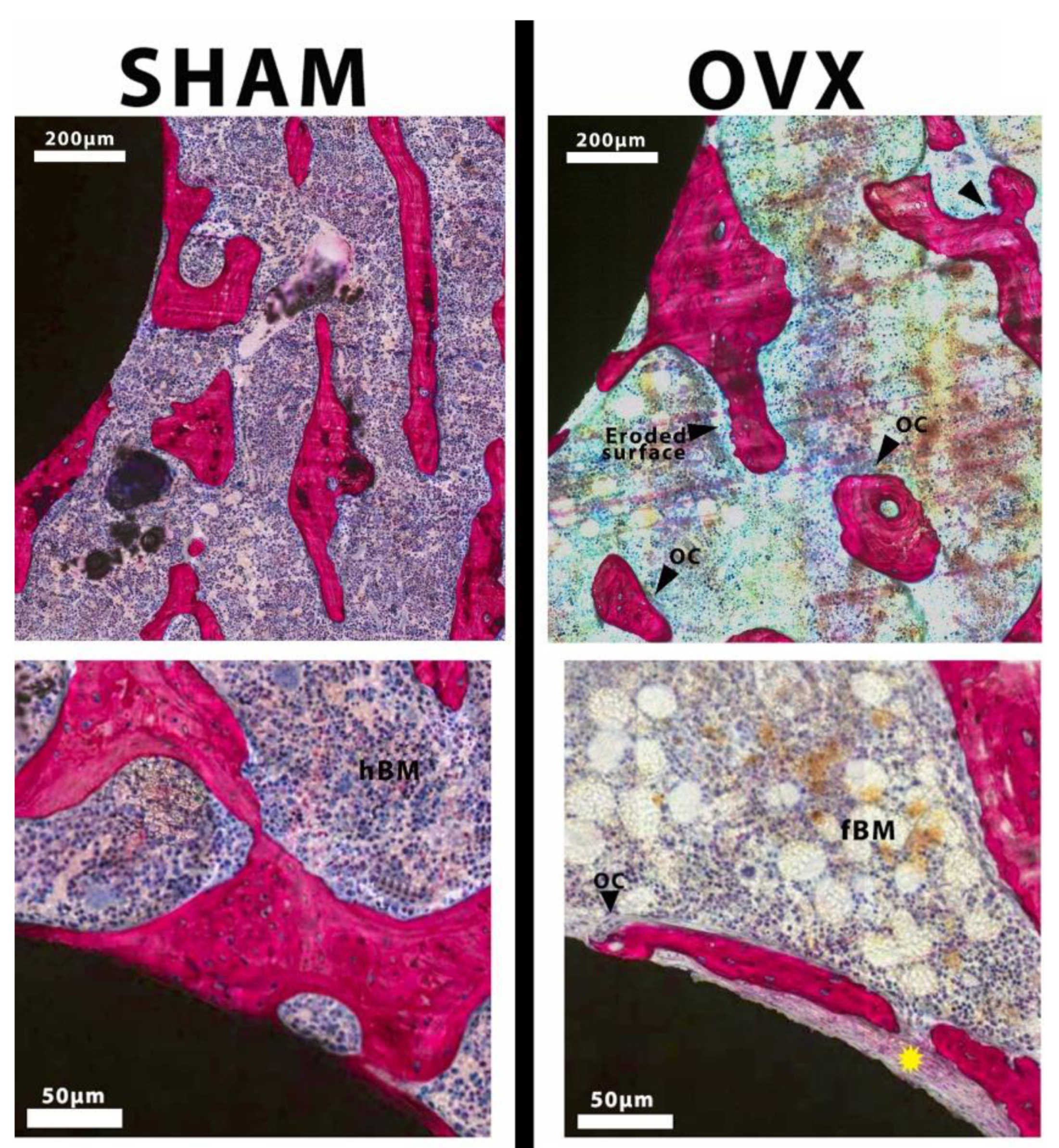 Applsci 11 00723 g005