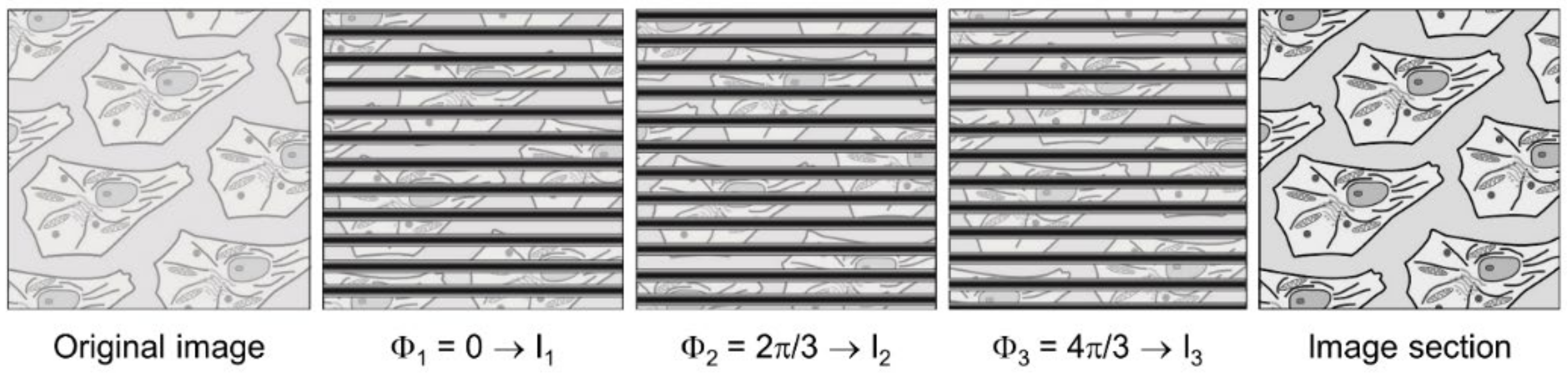 Applsci 11 00733 g001 Applsci 11 00733 g001