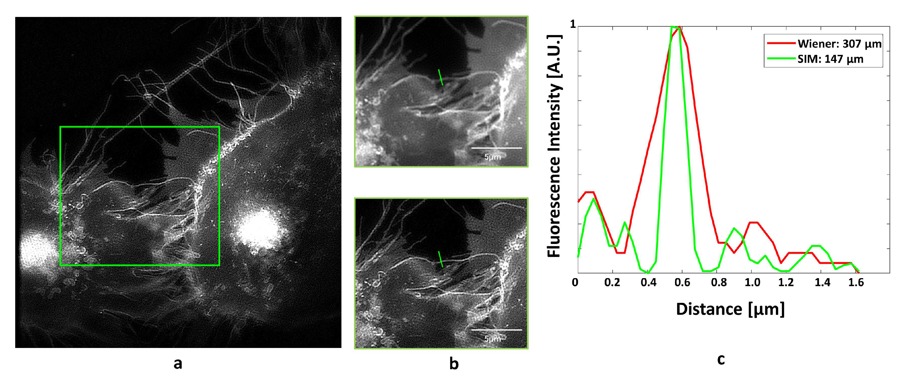 Applsci 11 00733 g003 Applsci 11 00733 g003