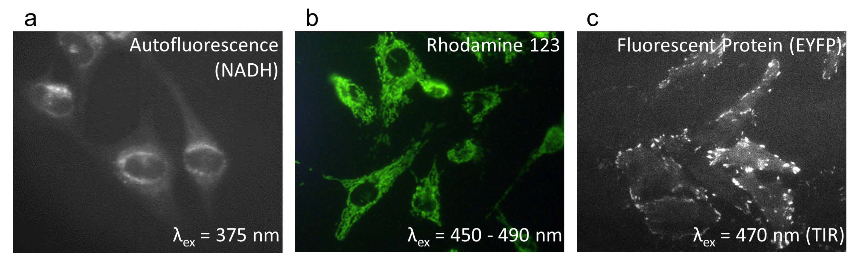 Applsci 11 00733 g006 Applsci 11 00733 g006