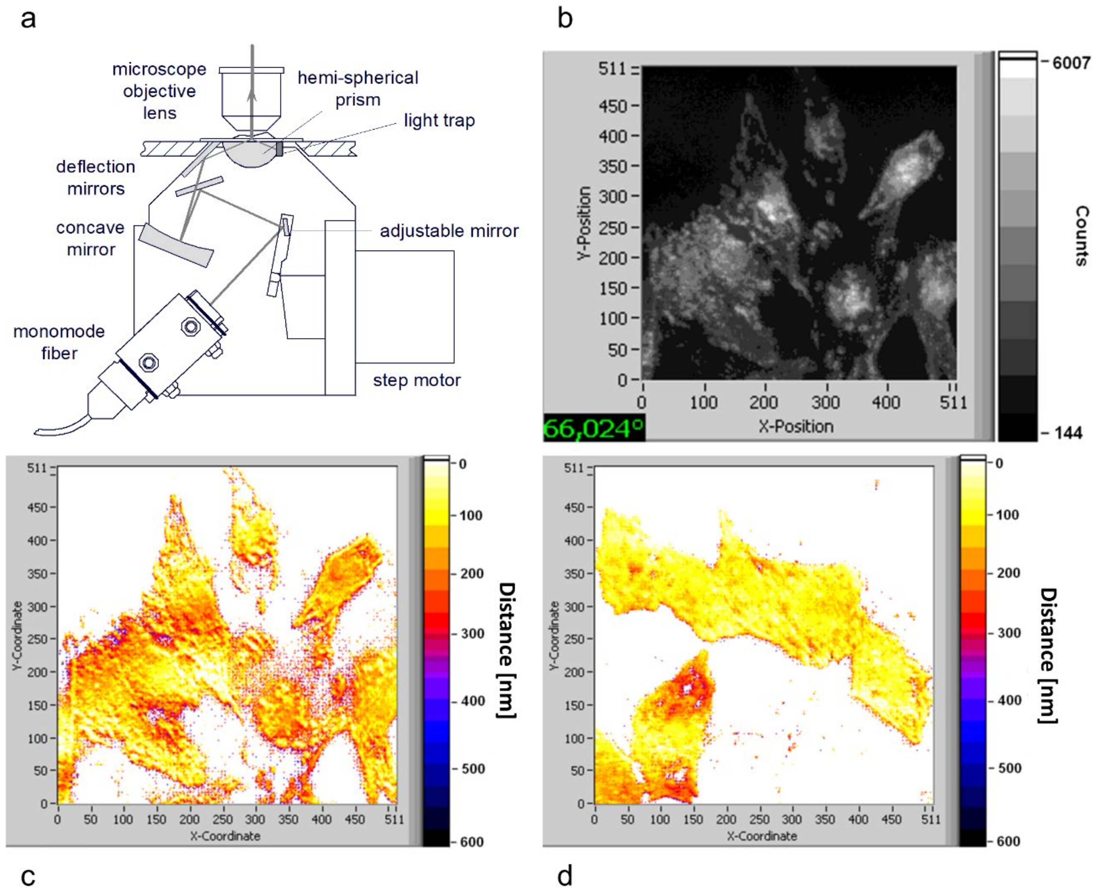Applsci 11 00733 g008 Applsci 11 00733 g008