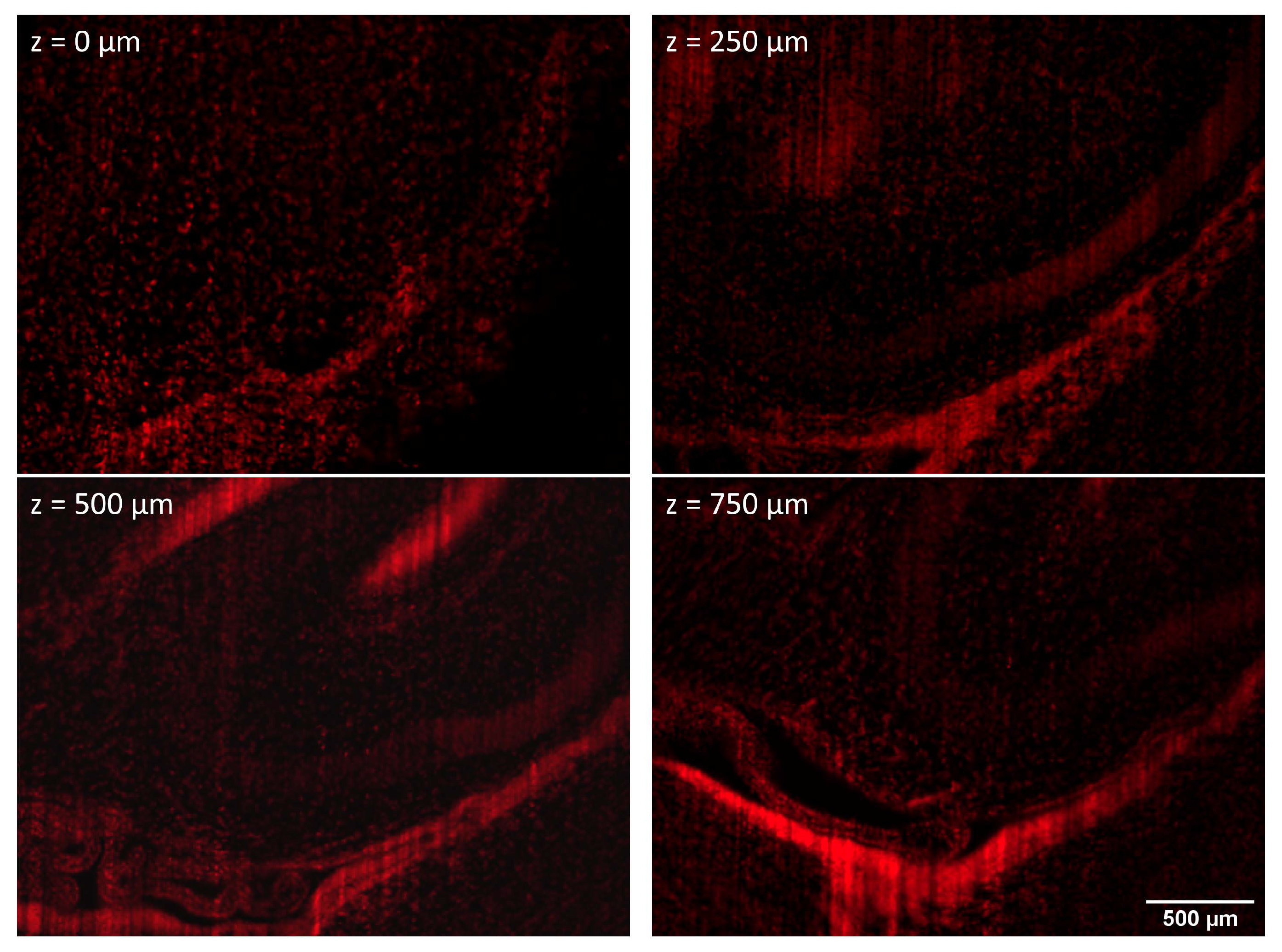 Applsci 11 00733 g010 Applsci 11 00733 g010